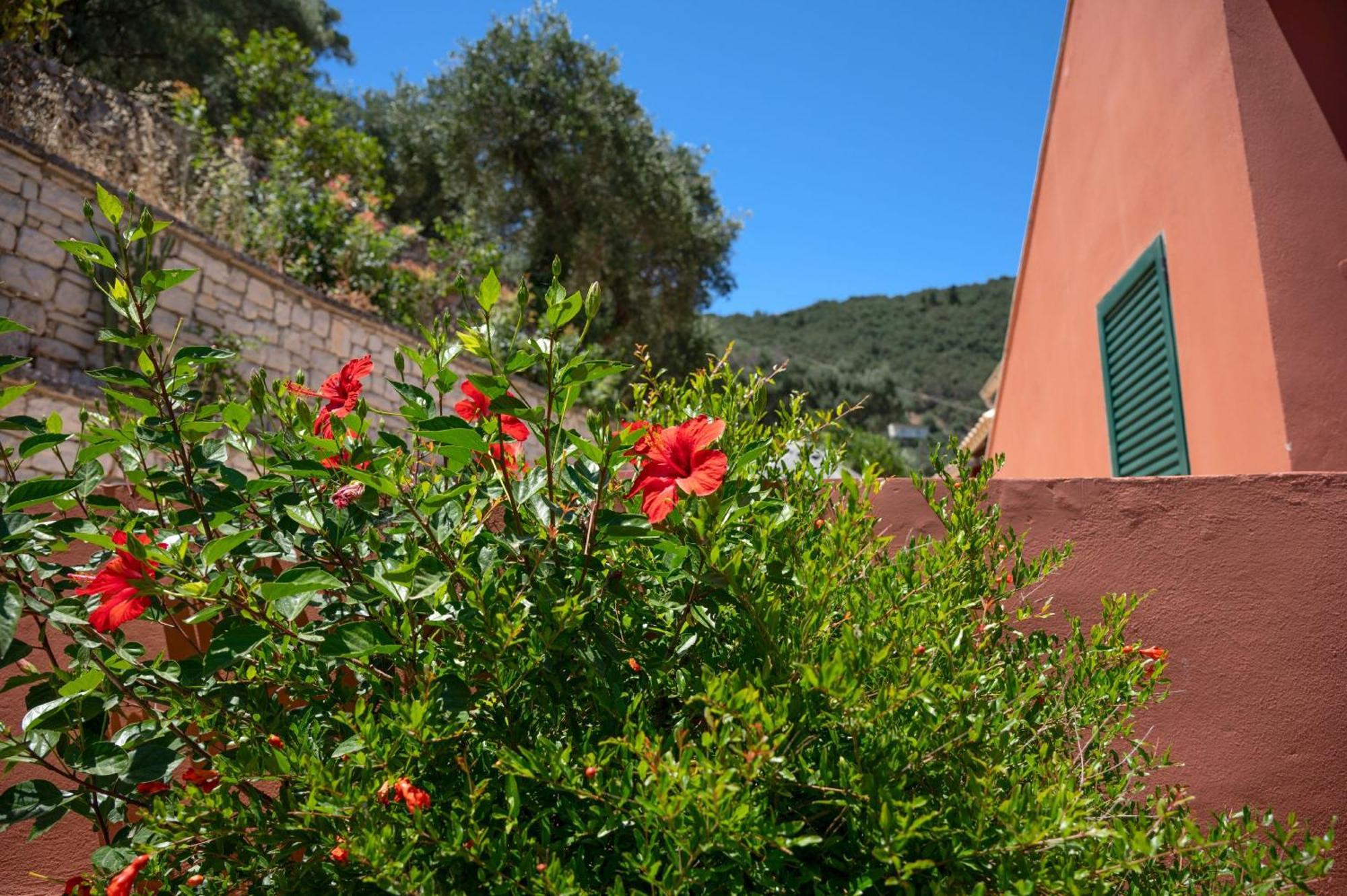 Takis House Apartment Katavolos
