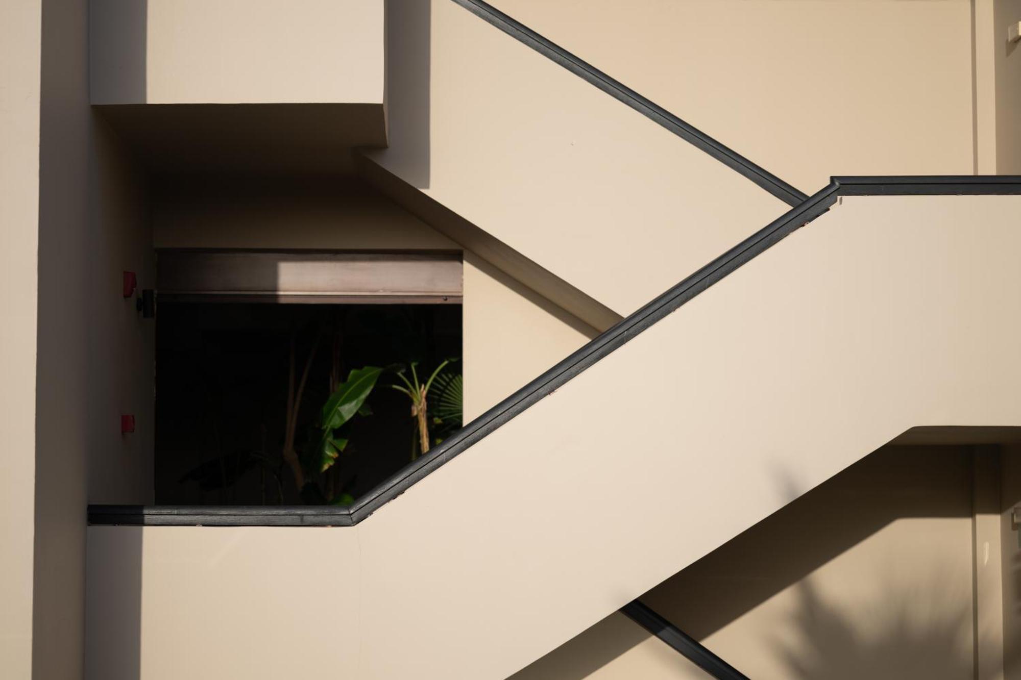 Asterion & - Designed For Adults