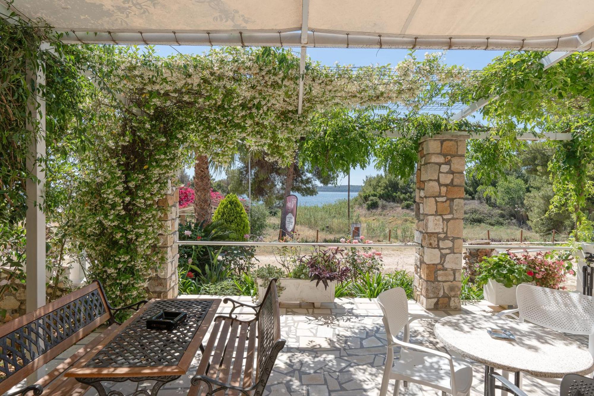 Oskars & 3* Lassi (Kefalonia)