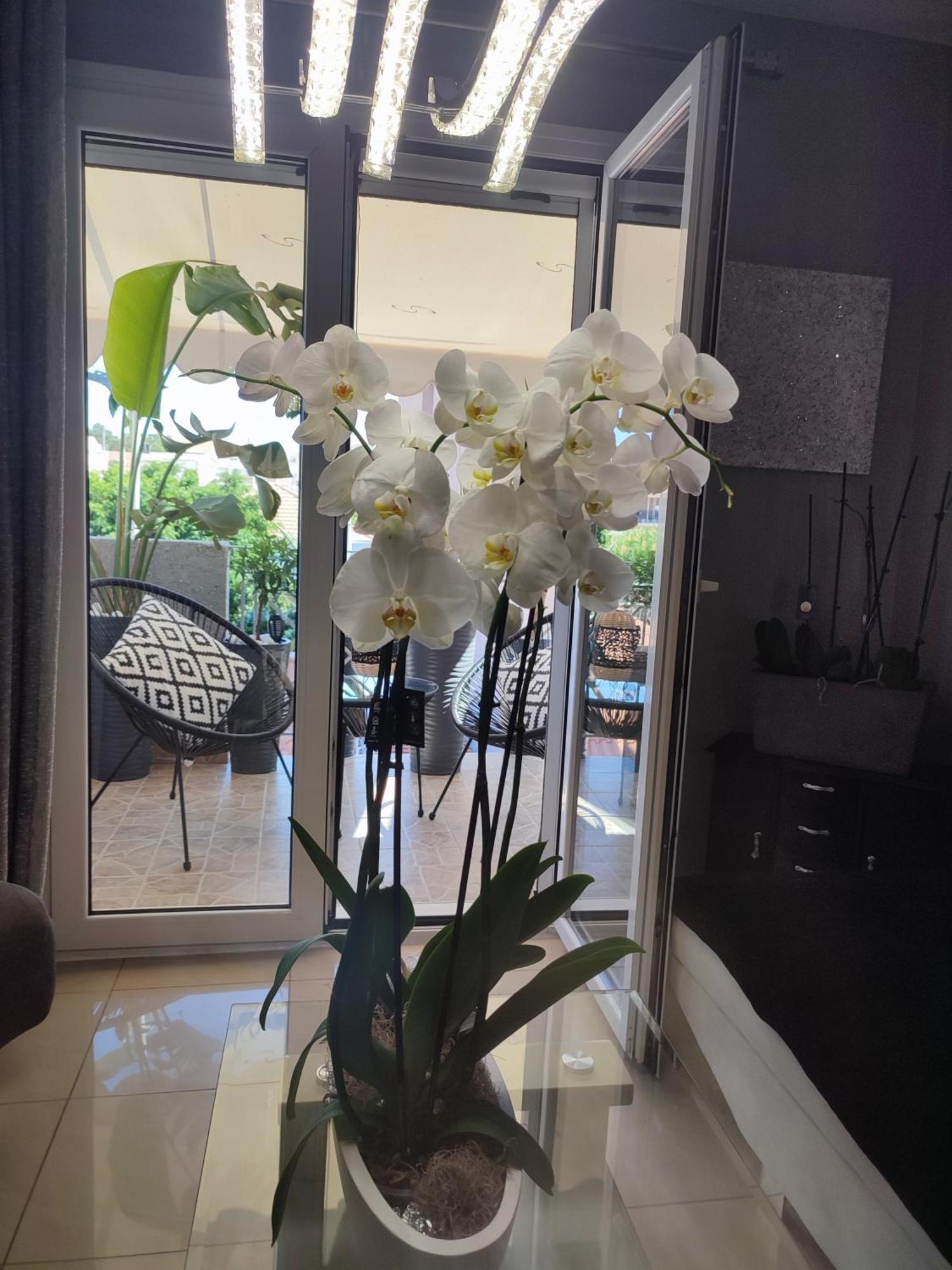 Diamond Lux * Argostoli (Kefalonia)