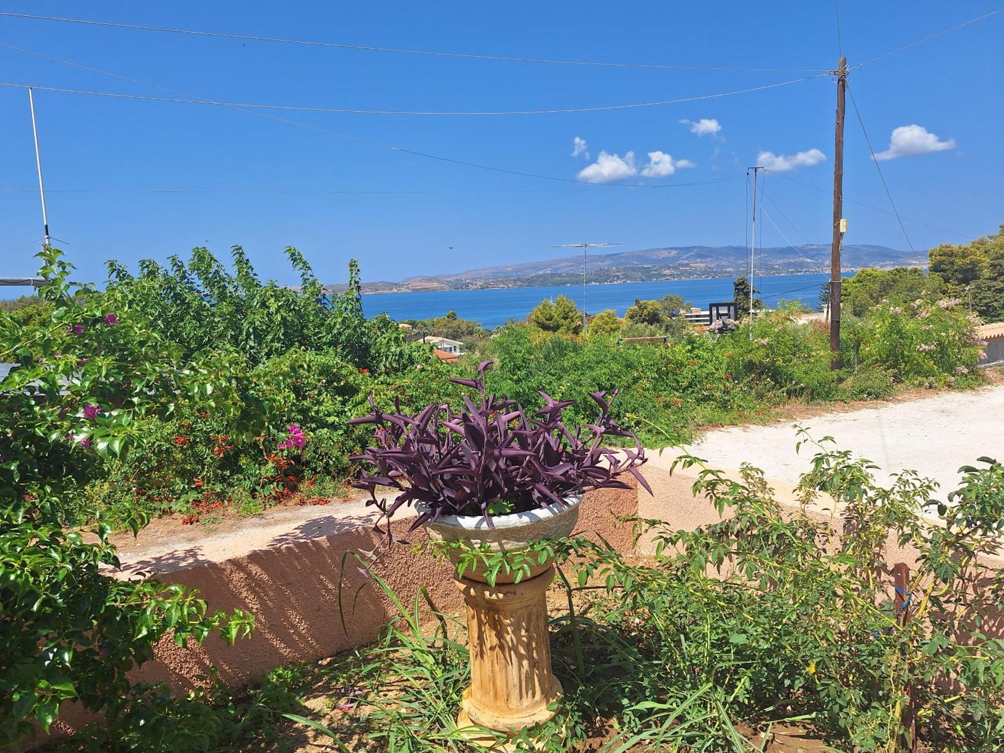 Apartment Lassi 1 Argostoli (Kefalonia)