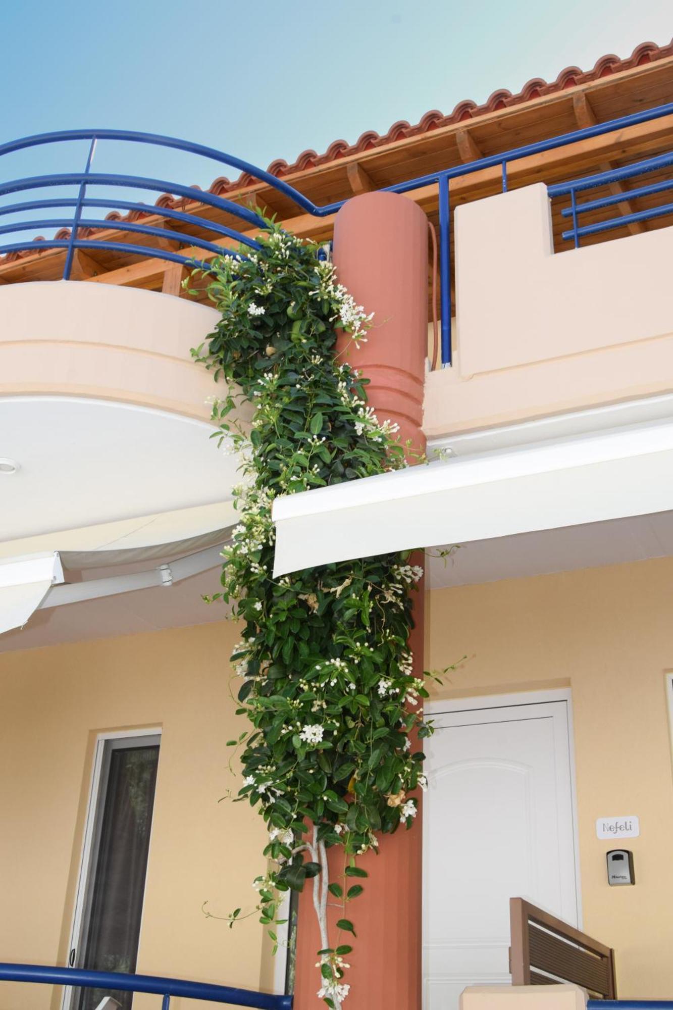 Andy's Plaza Apartment Agia Pelagia (Crete)