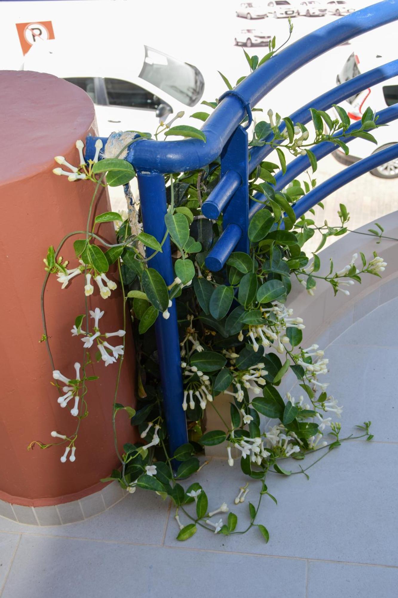 Andy's Plaza * Agia Pelagia (Crete)