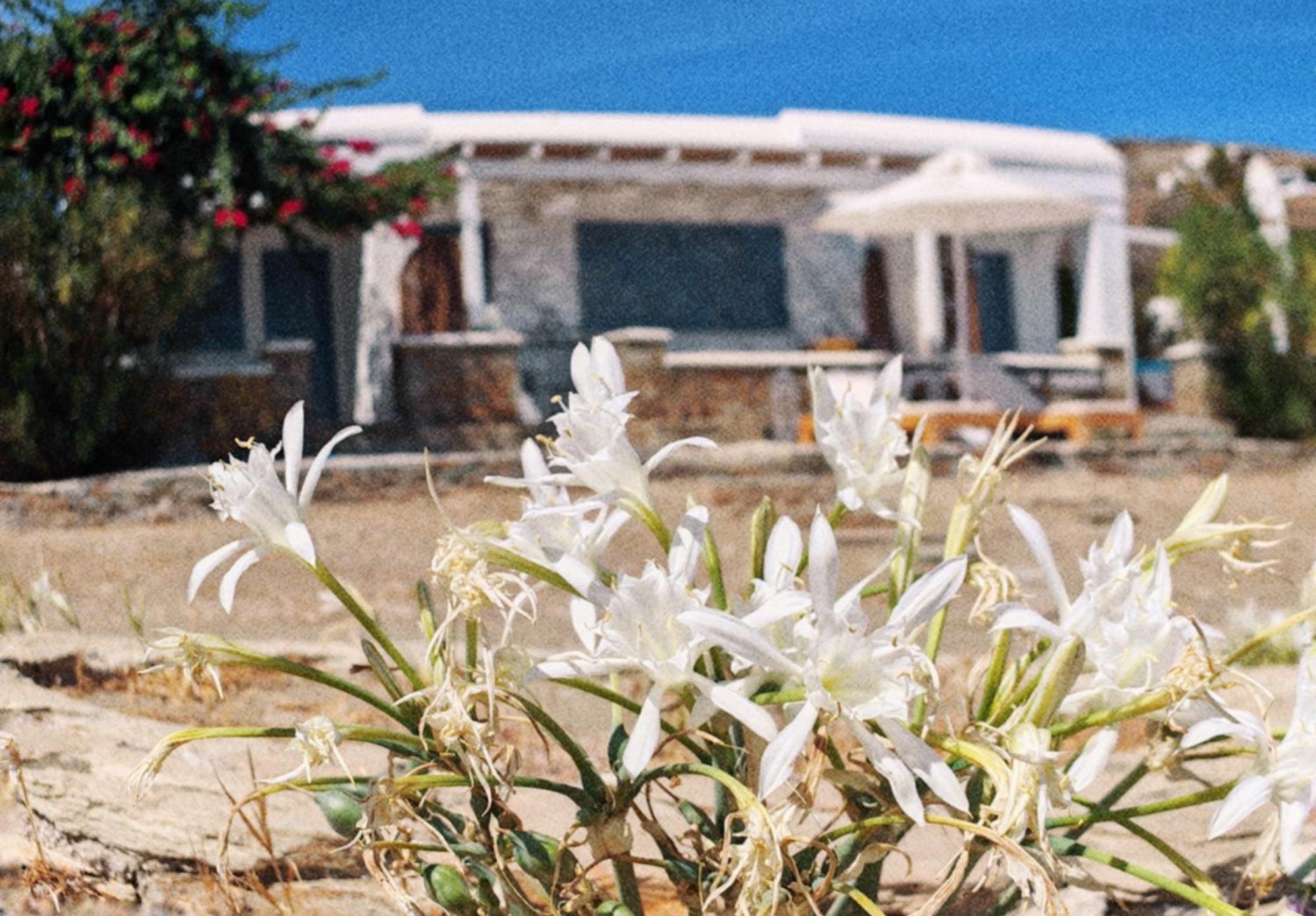 Diana's Luxury Holiday home Kythnos