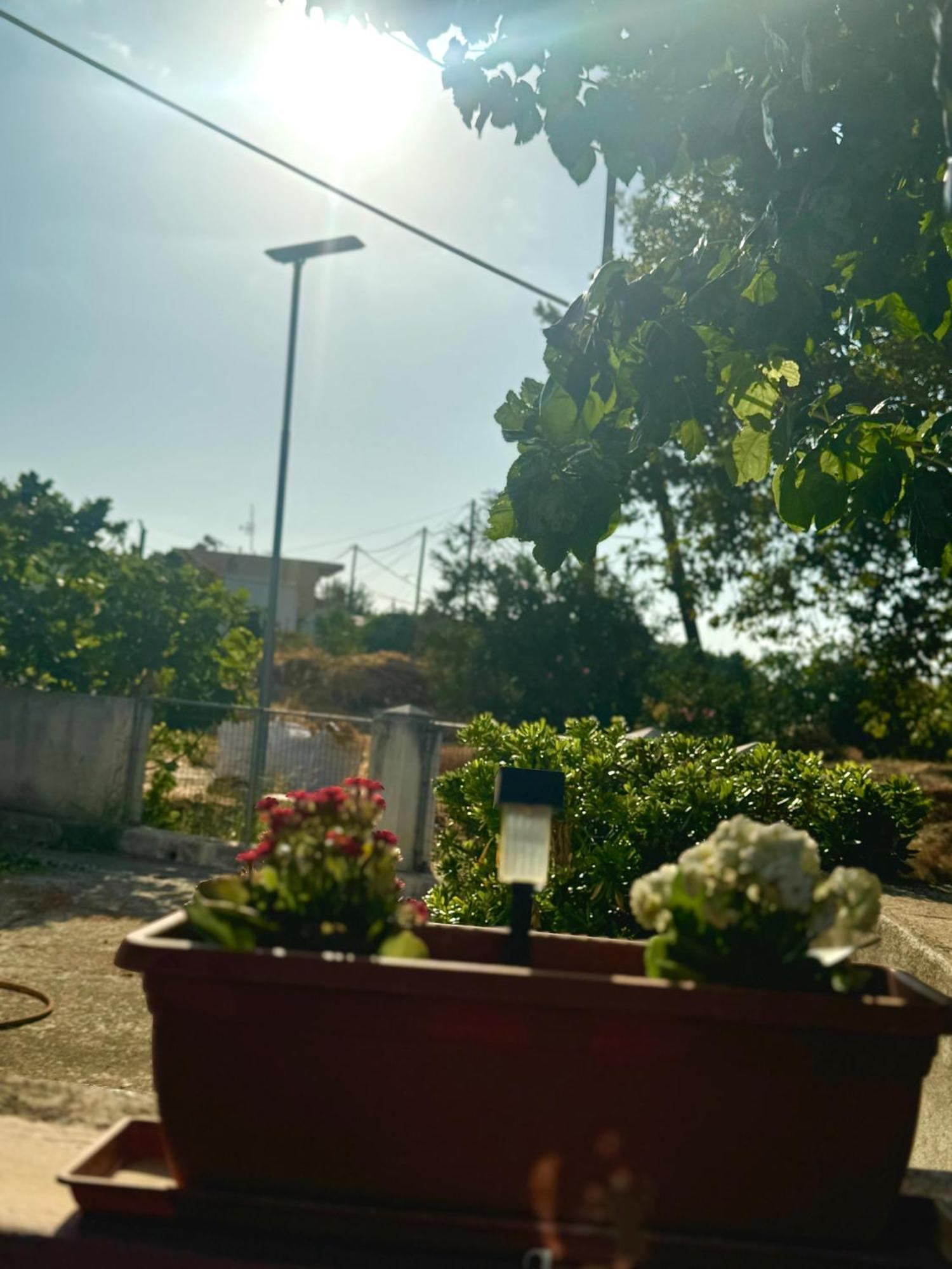 Holiday home Platanos House