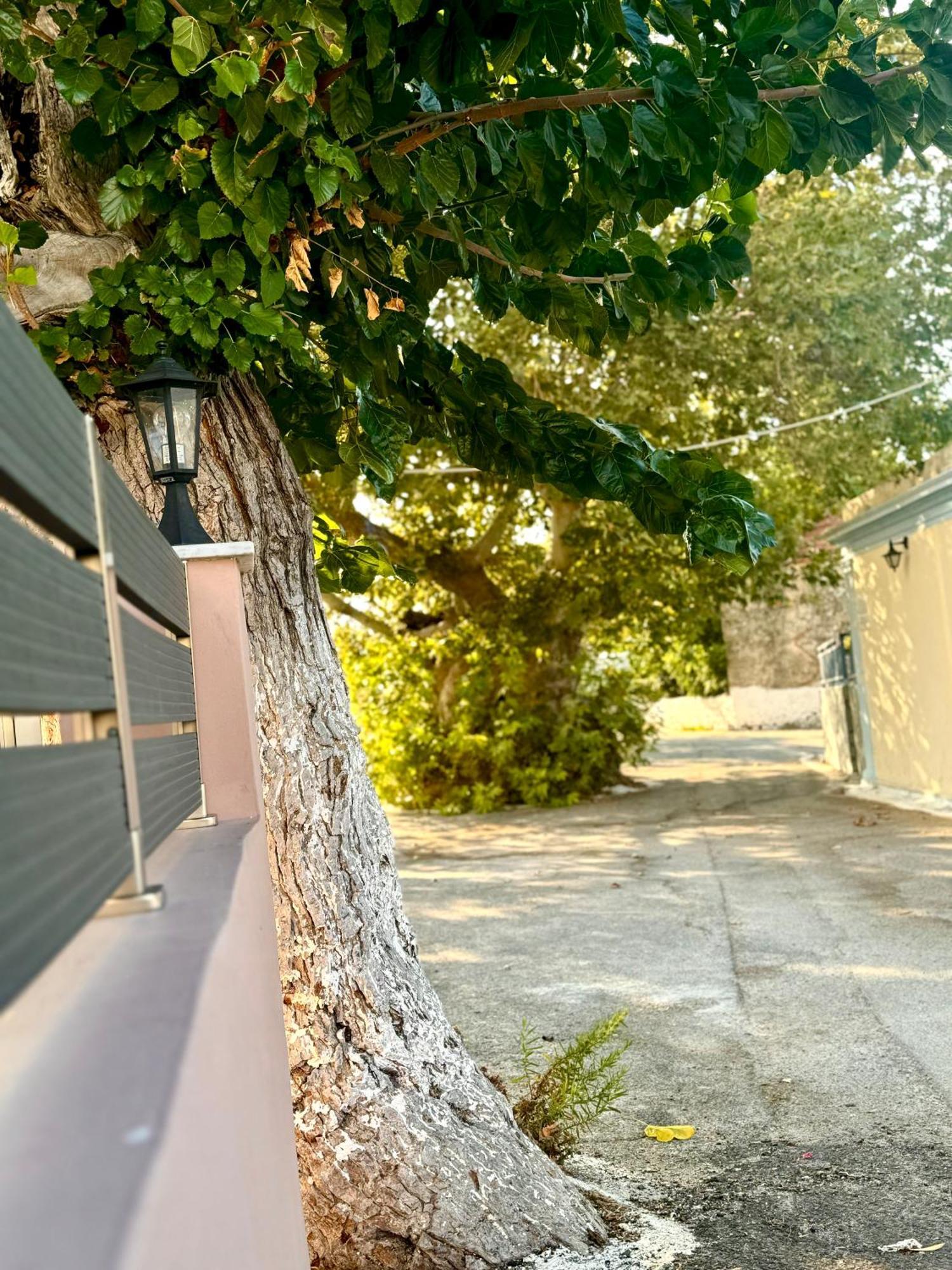 Platanos House Holiday home