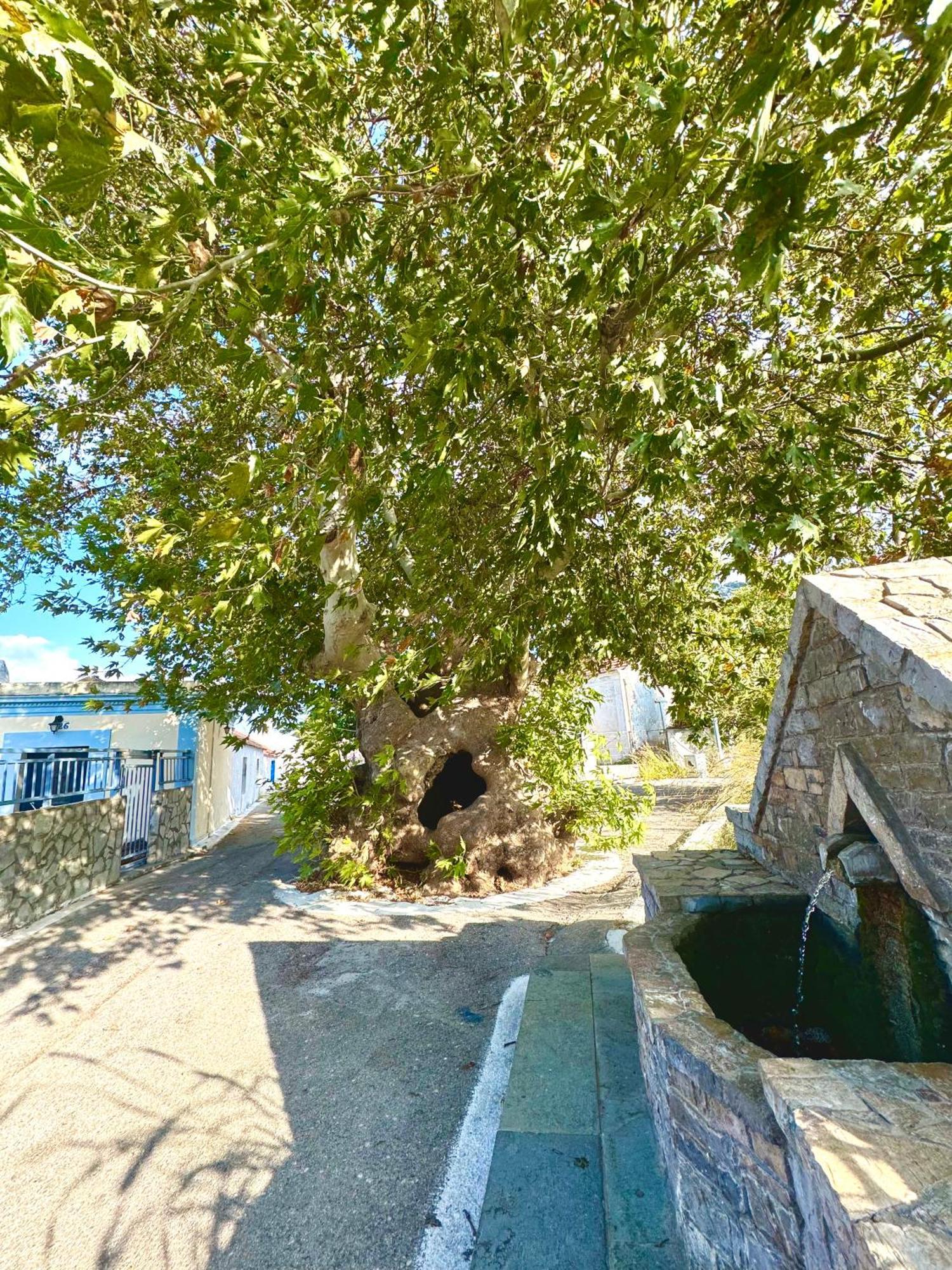 Holiday home Platanos House