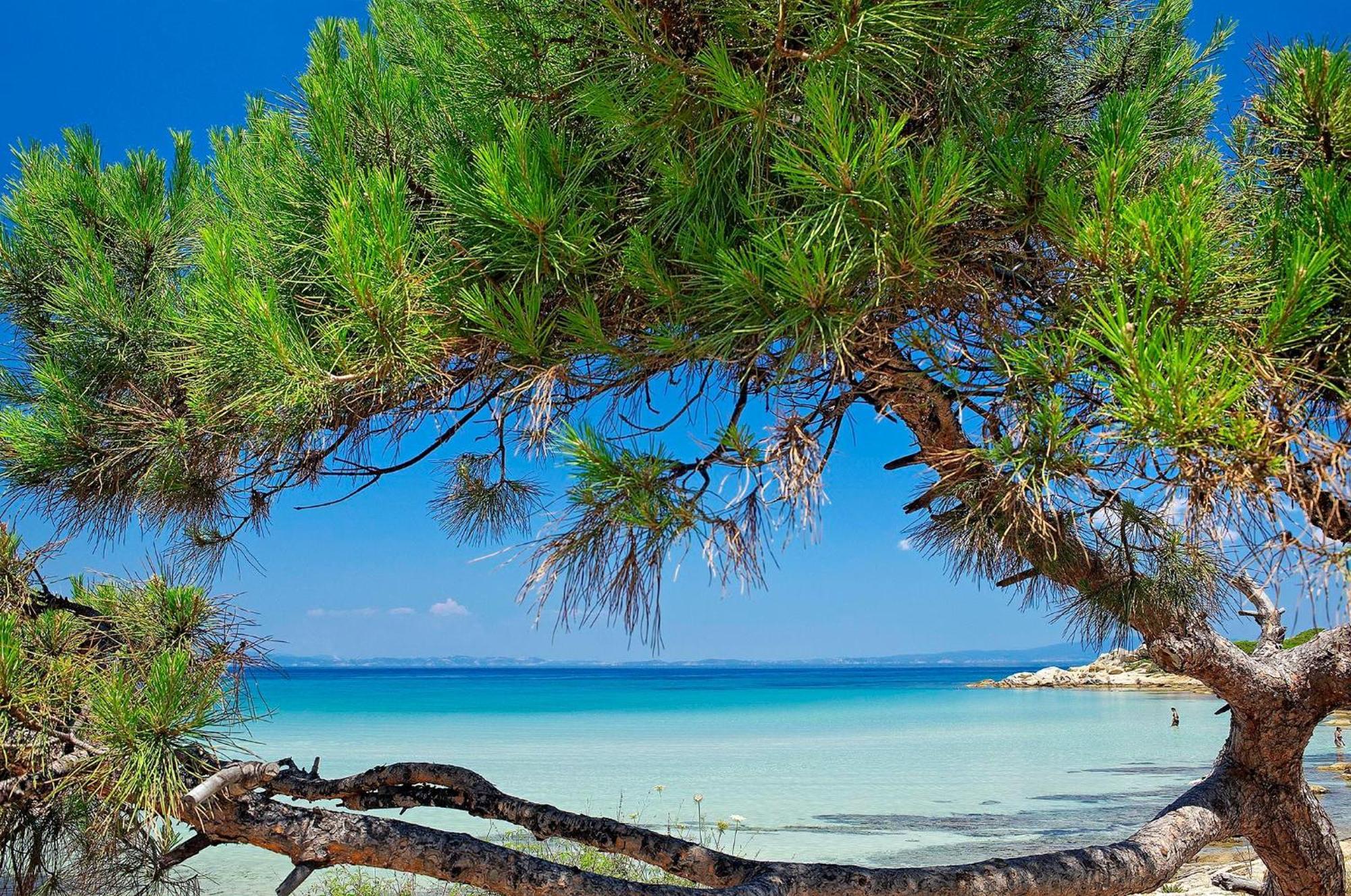 Ikos Oceania Nea Moudania