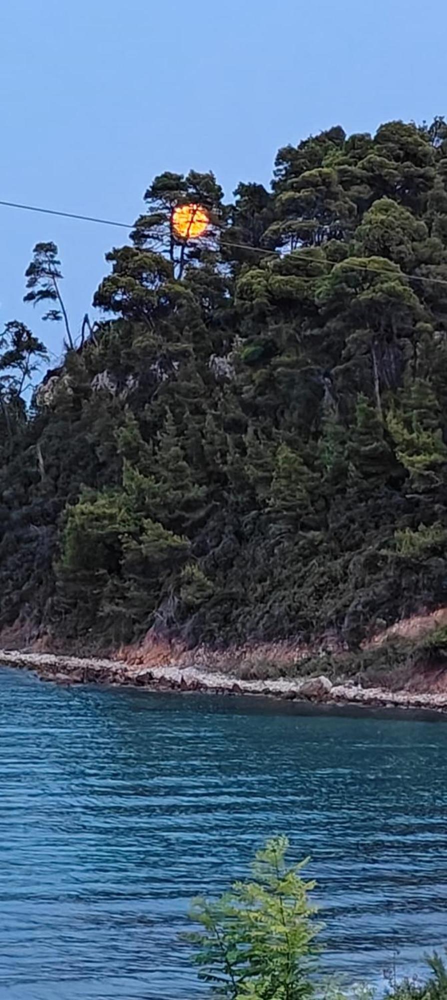 Apartment Sea & Forest