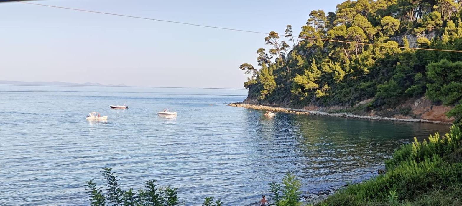 Sea & Forest