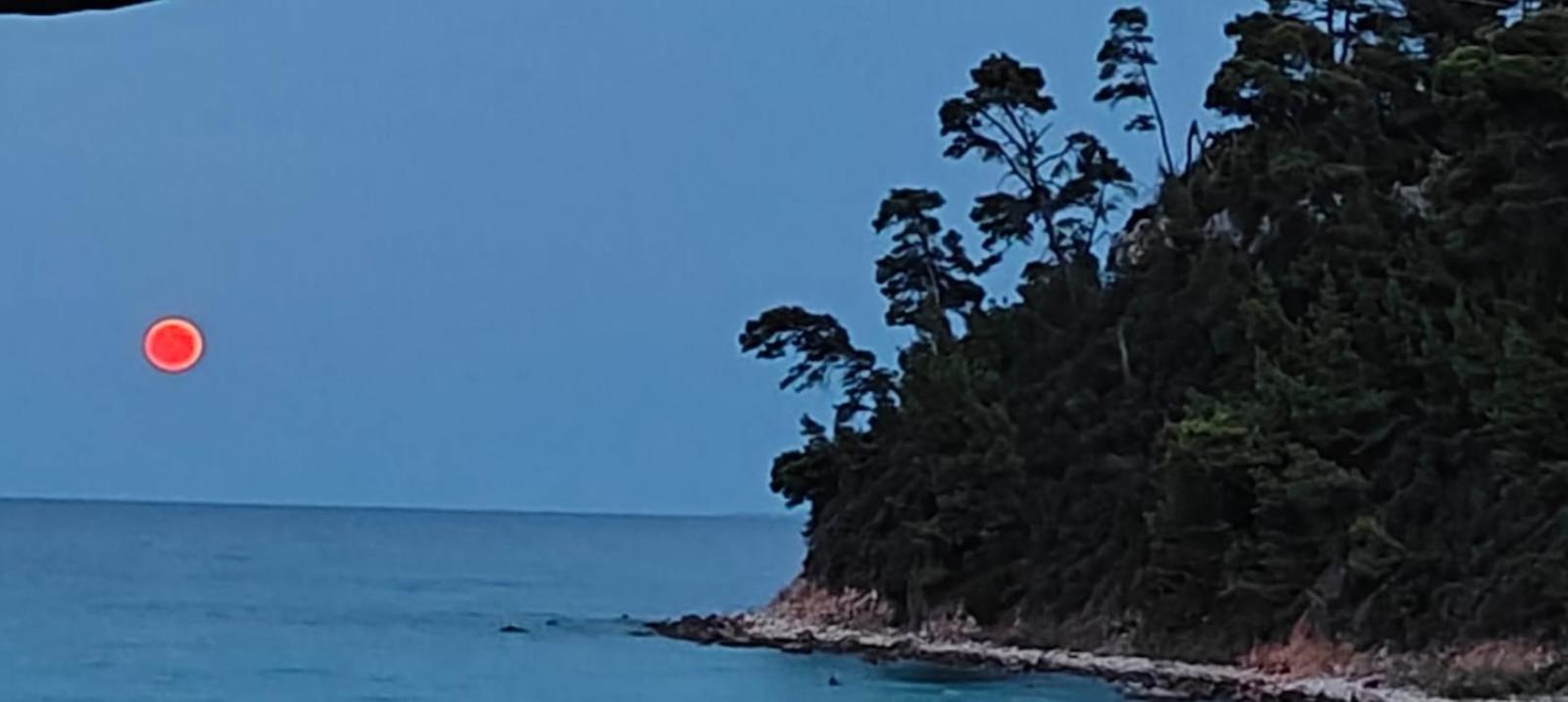 Apartment Sea & Forest Kallithea (Chalkidiki)