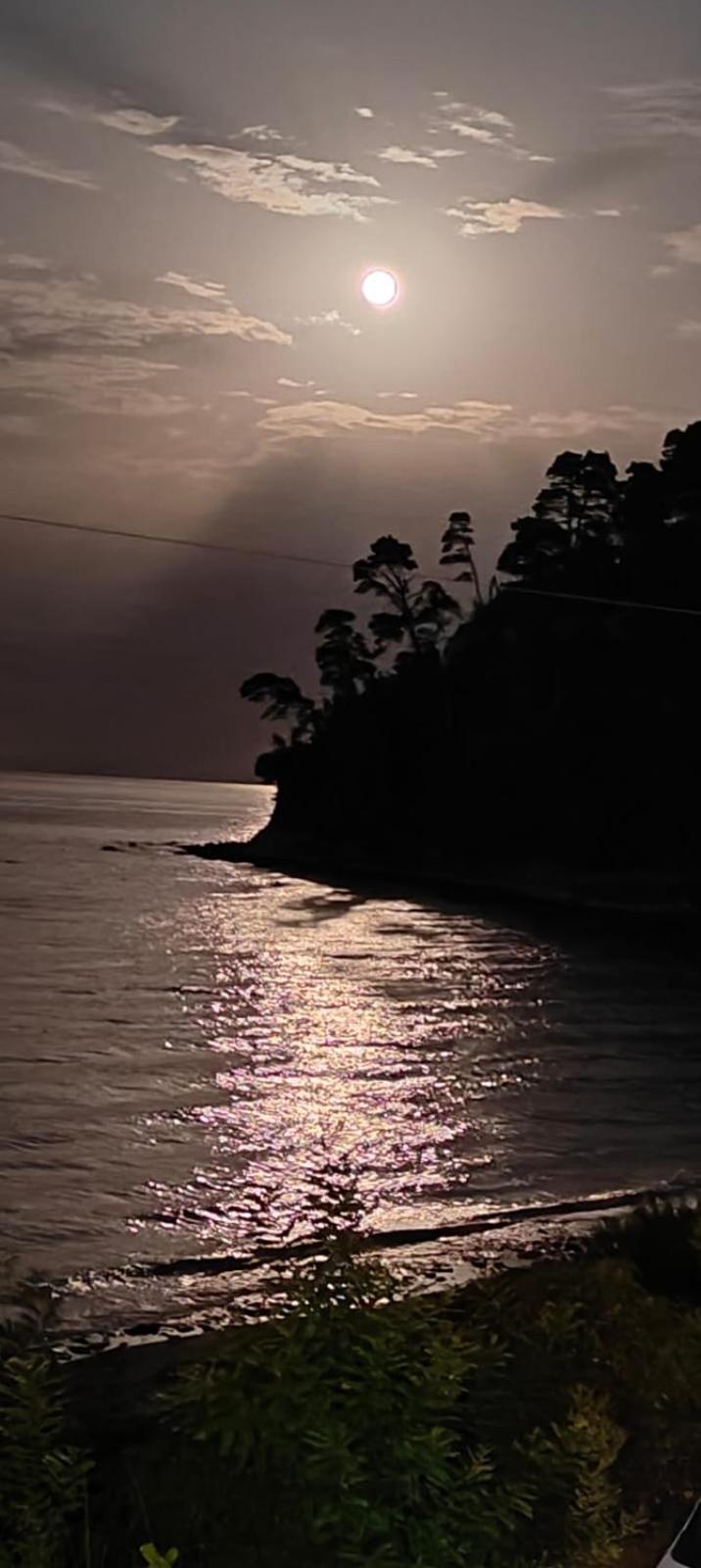 Sea & Forest * Kallithea (Chalkidiki)