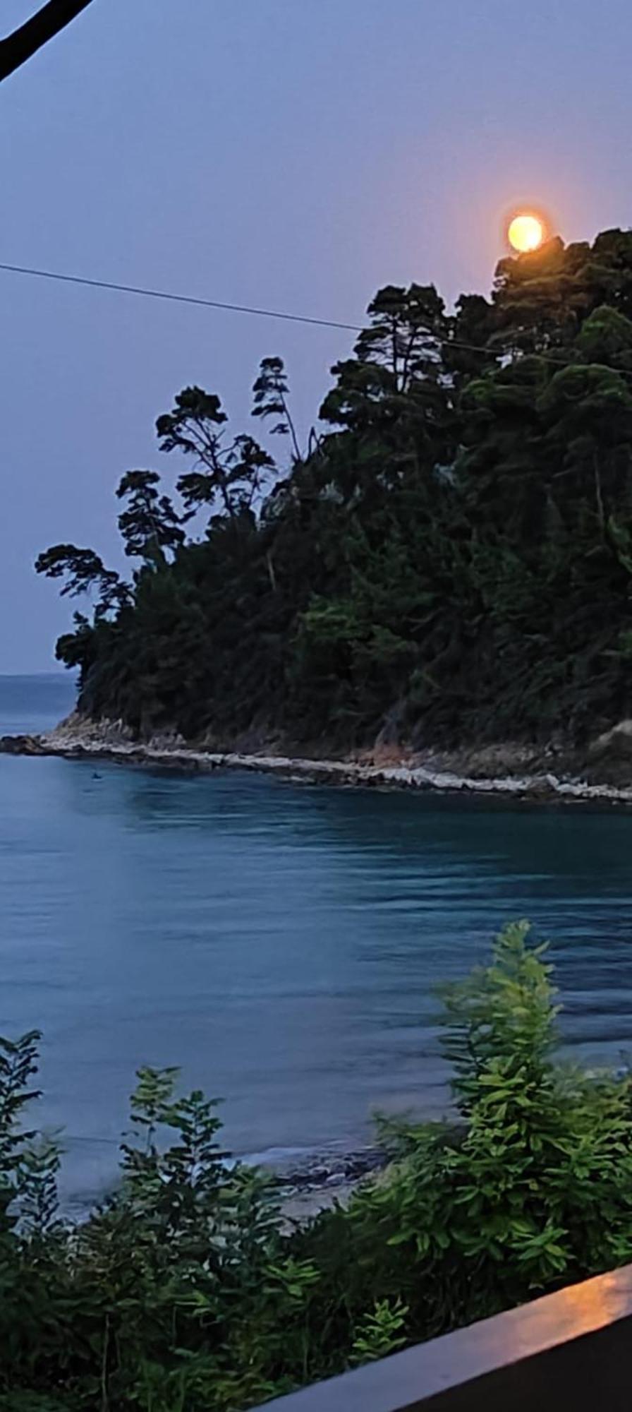 Sea & Forest Apartment Kallithea (Chalkidiki)