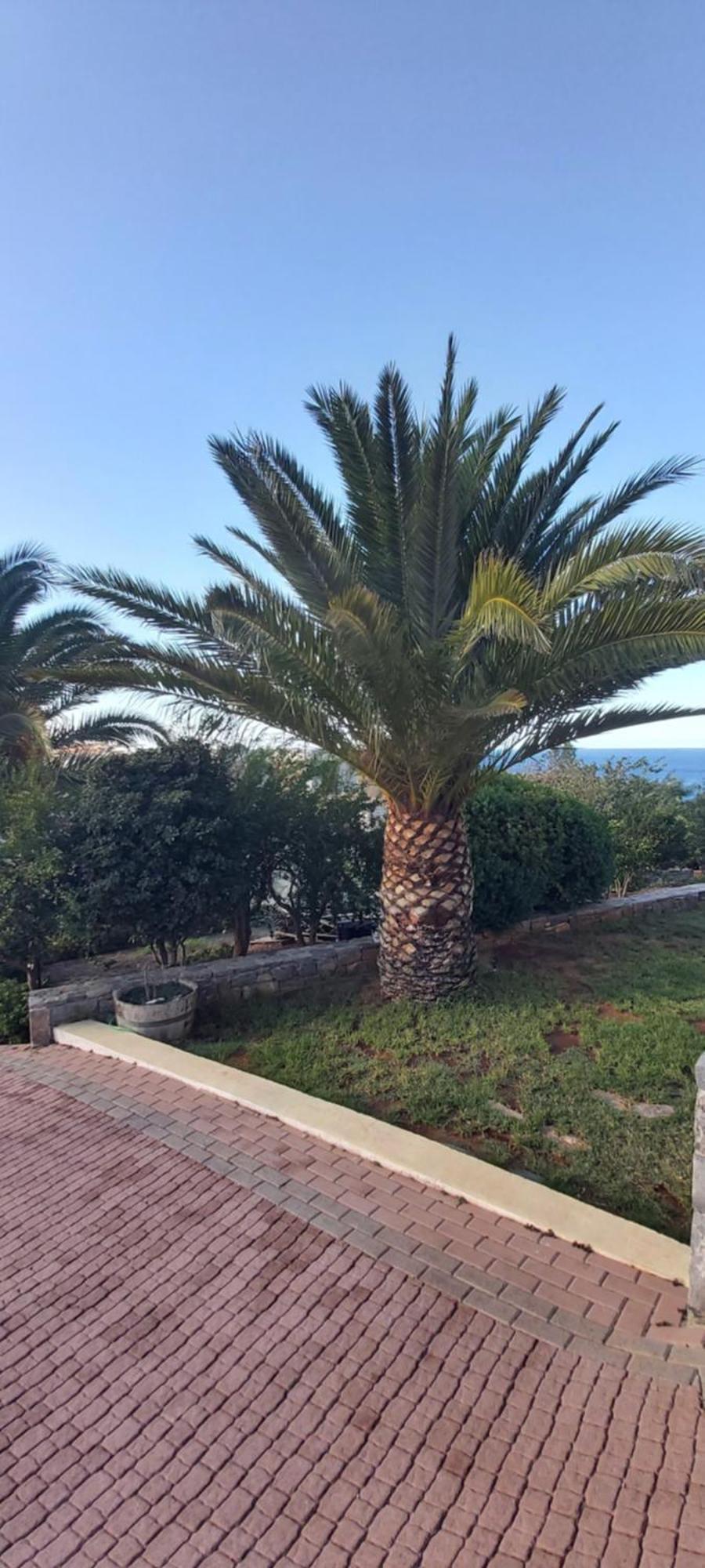 στέλλα ιωάννης * Agia Pelagia (Crete)