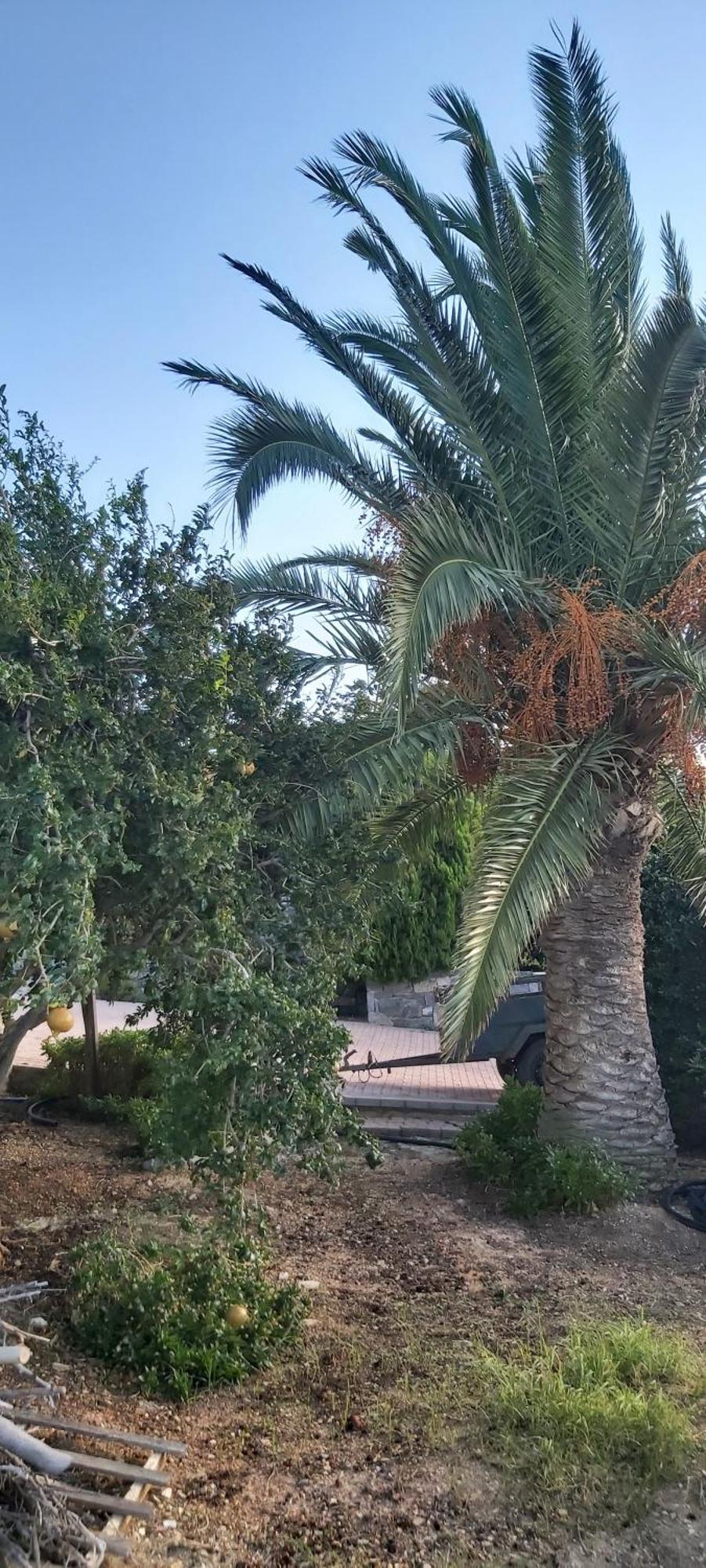 Holiday home στέλλα ιωάννης
