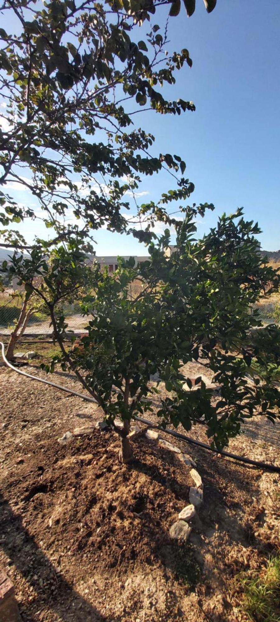 στέλλα ιωάννης Holiday home