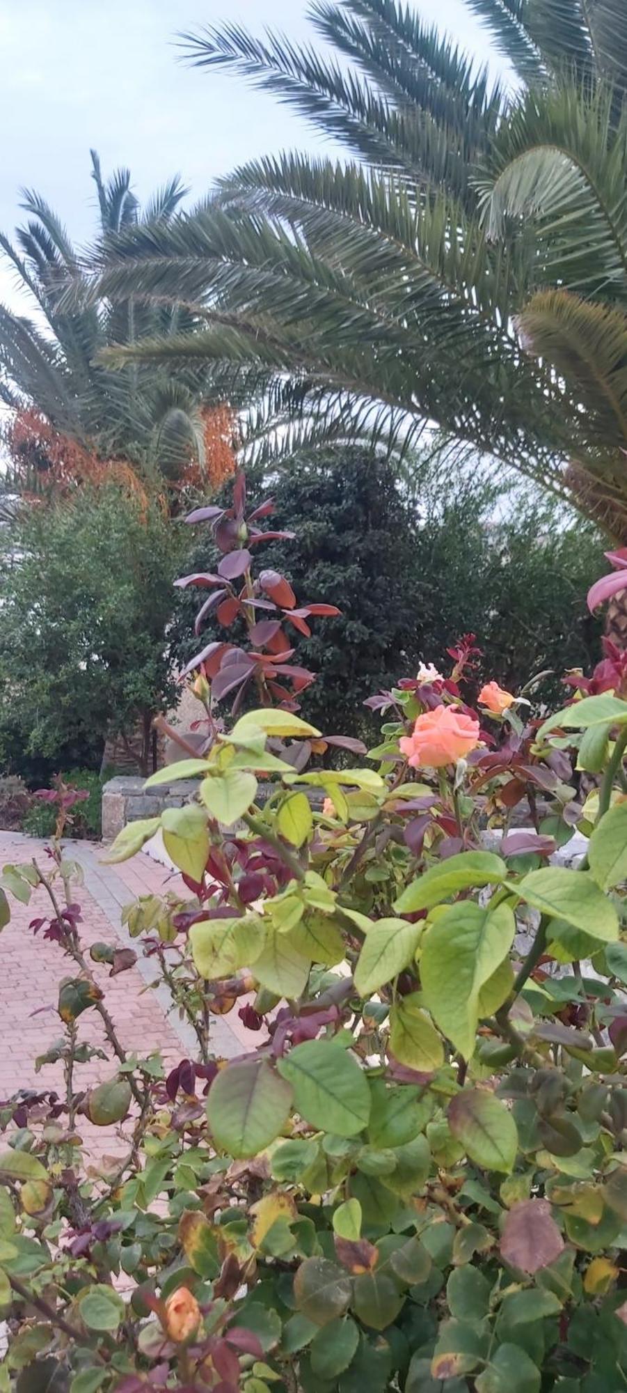 Holiday home στέλλα ιωάννης *