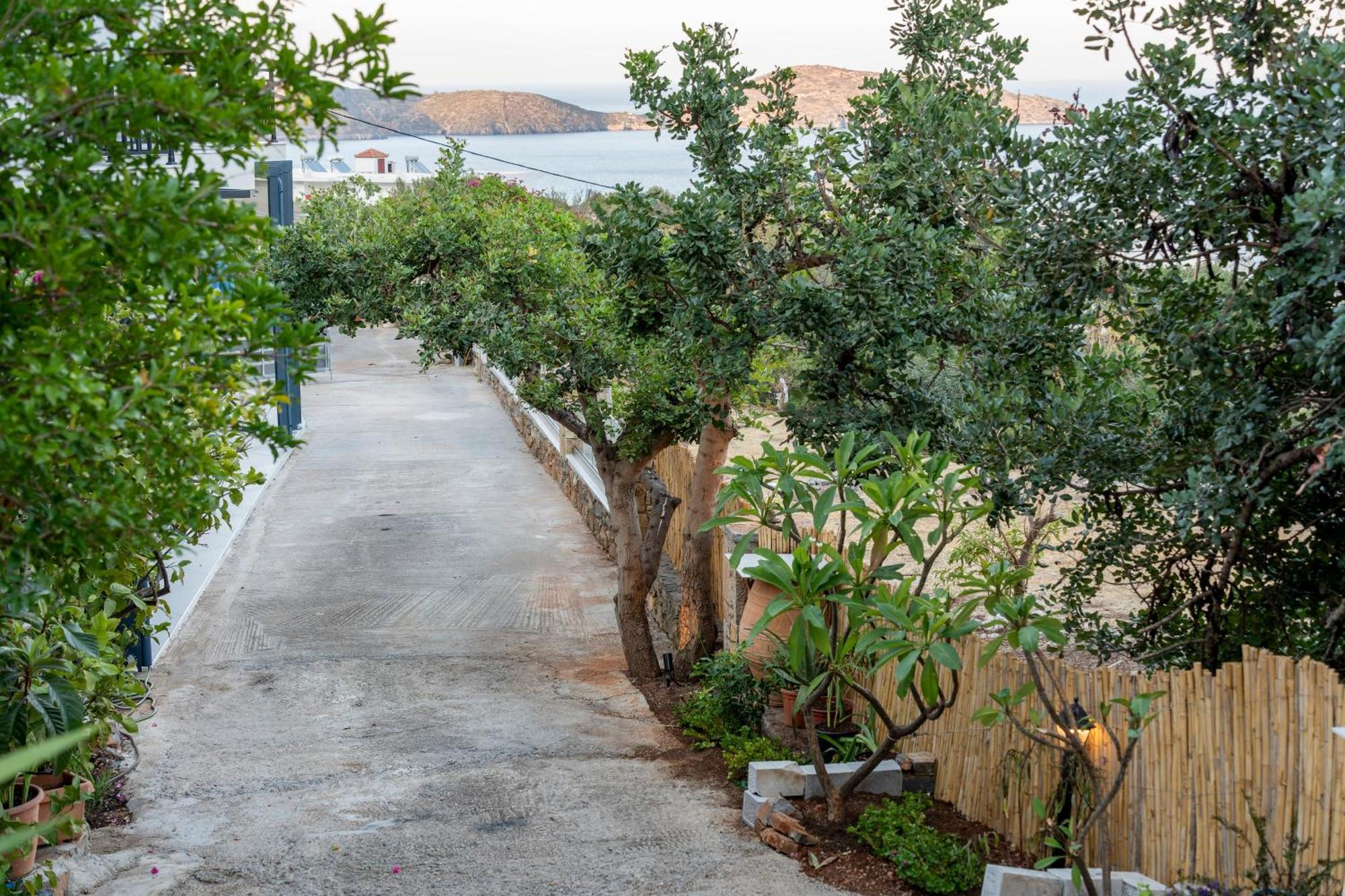 Buena Vista * Elounda (Crete)