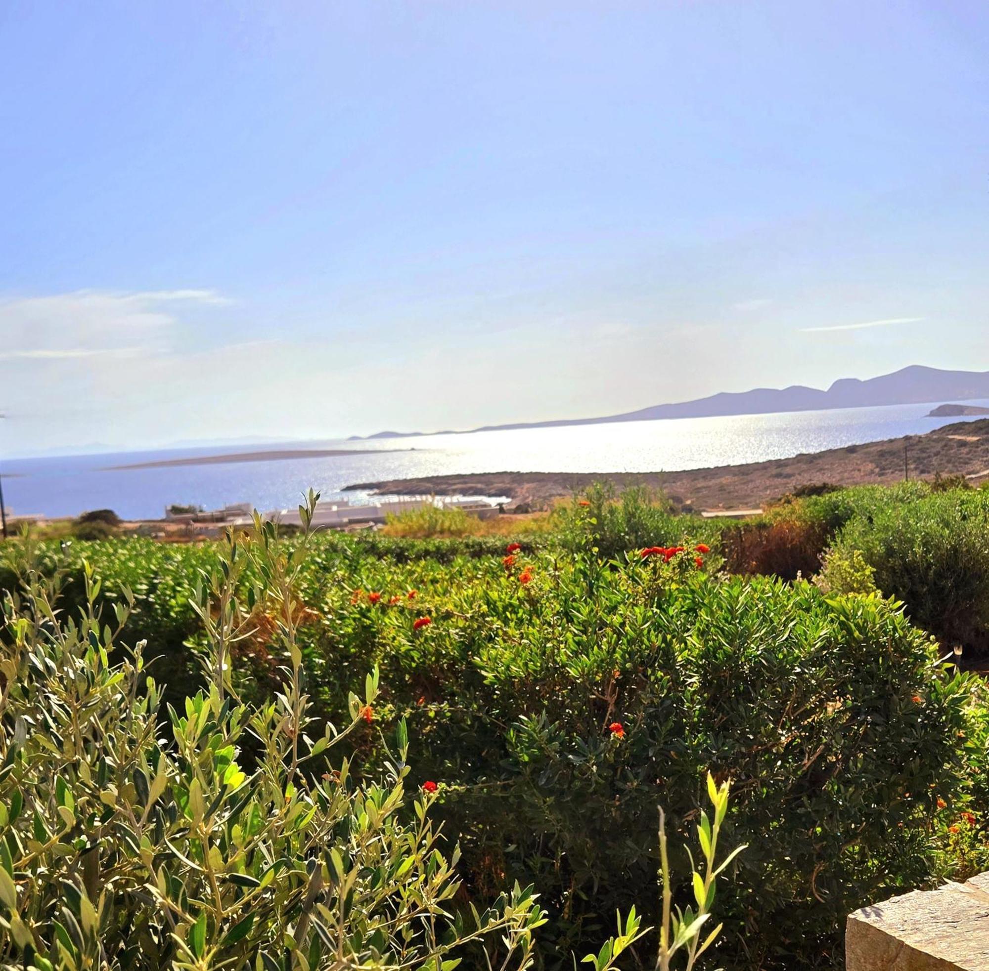 Paros Afrodite Luxury Villa