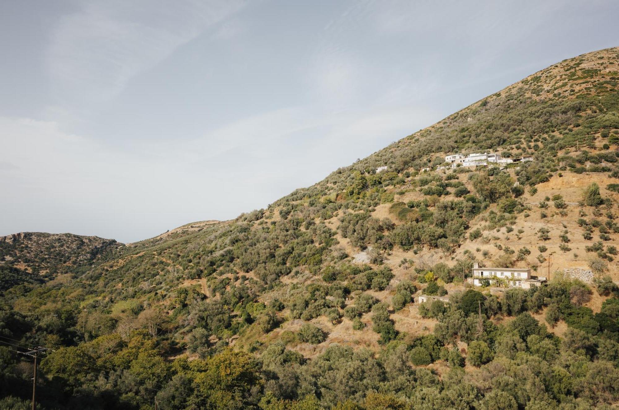 Apartment Lefteris *