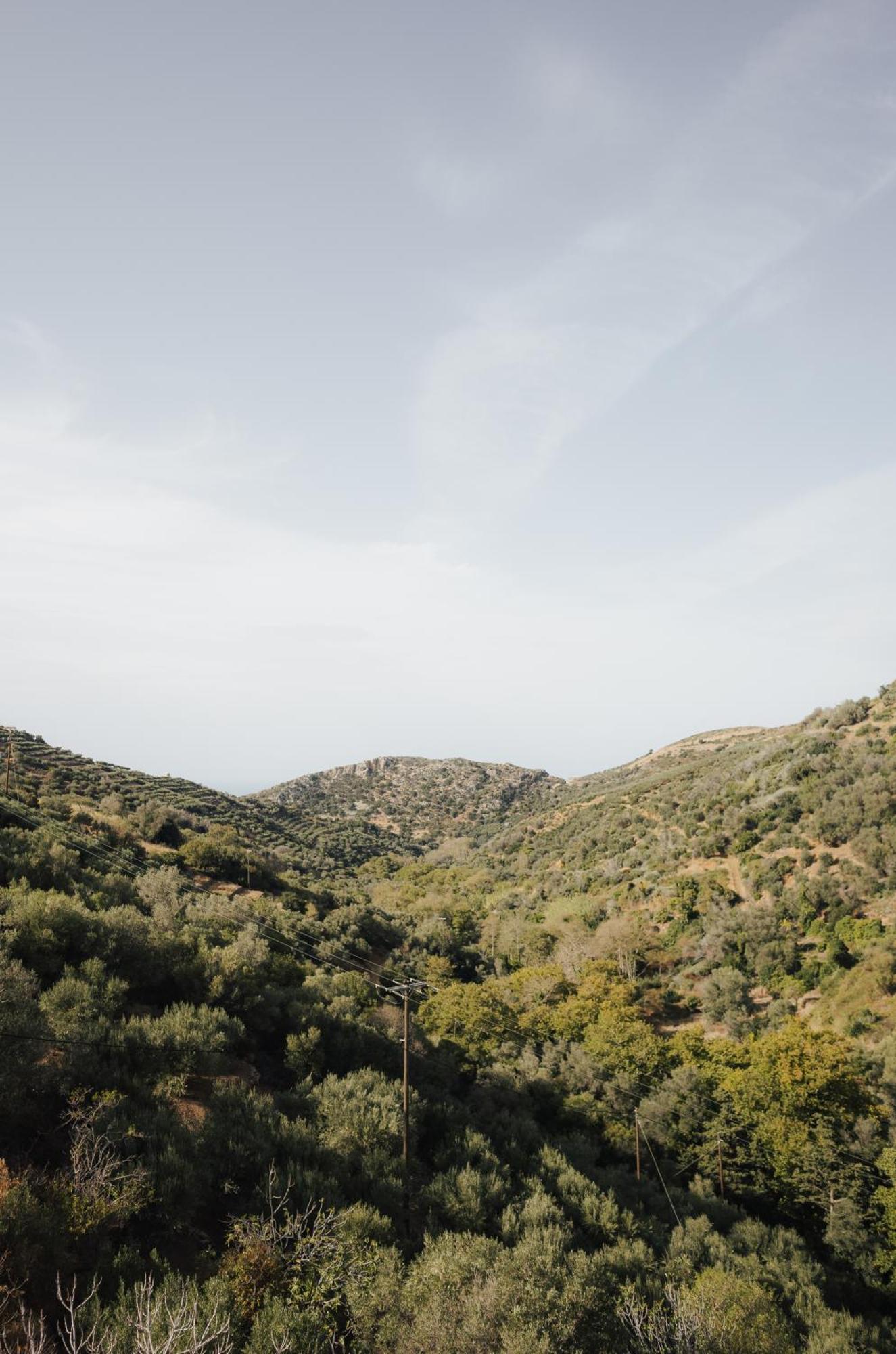 Lefteris