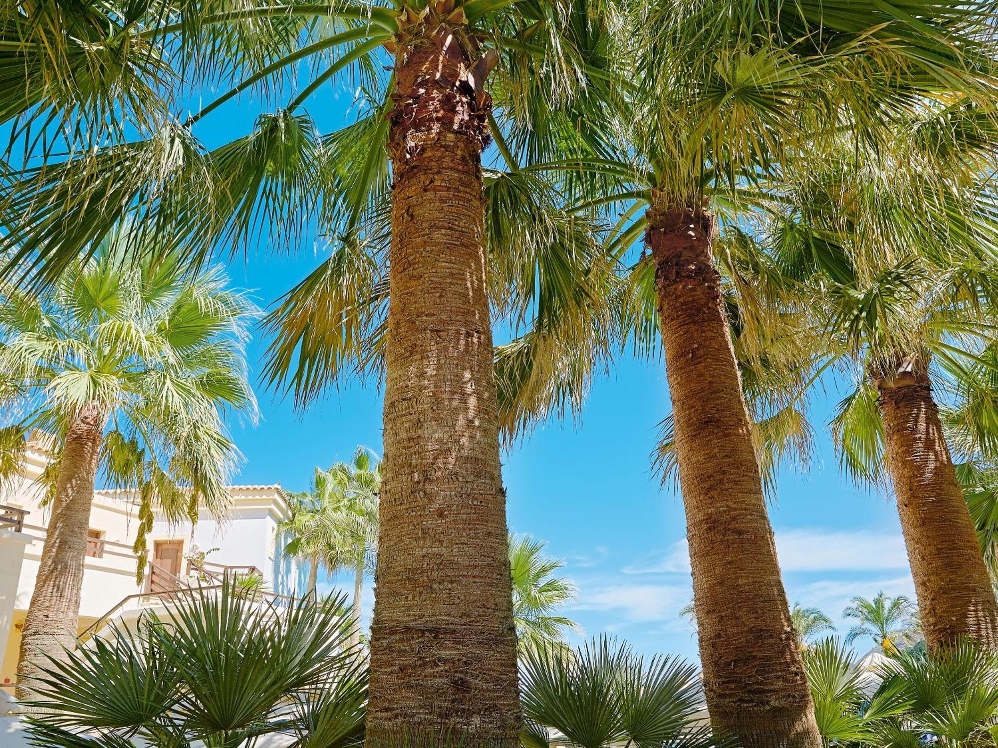 Grecotel Marine Palace & Aqua Park Hotel 4*
