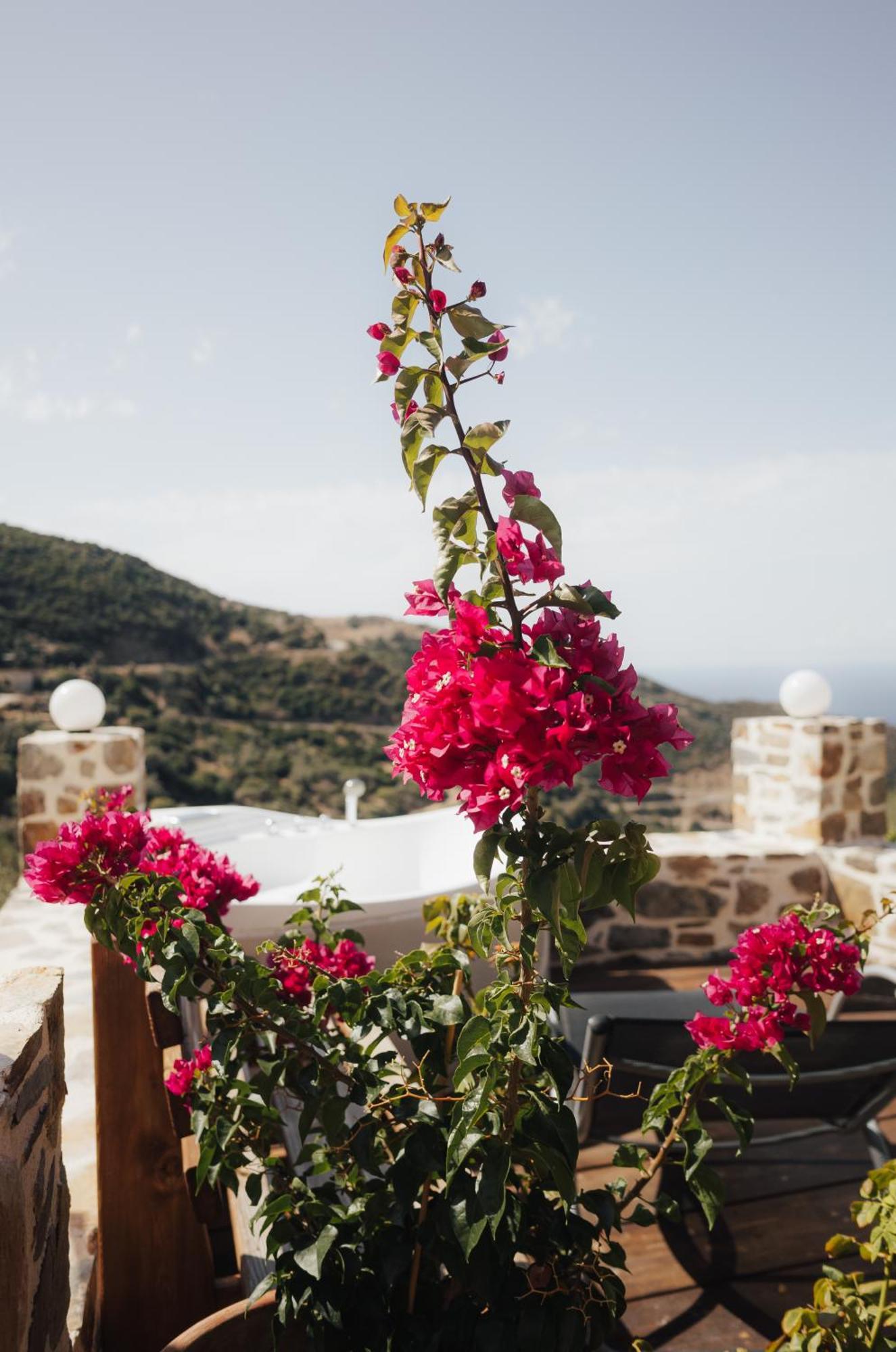 Apartment Lefteris *