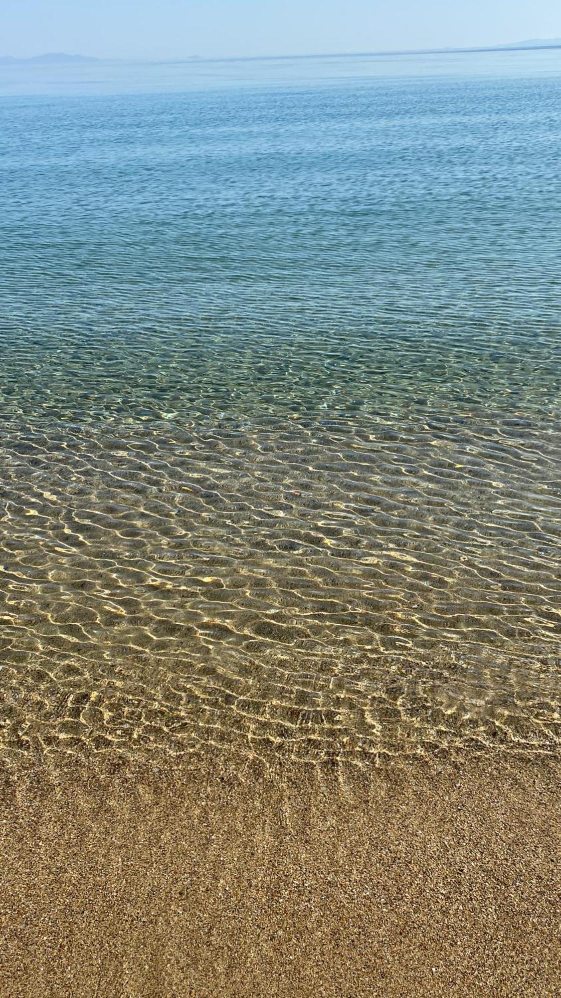 Apartment Sarra Halkidiki