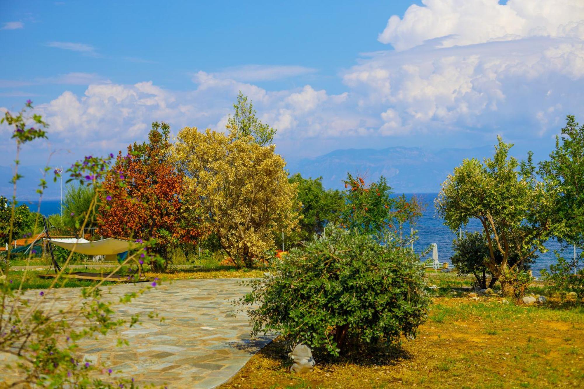Elpida's Sea View Petalidi