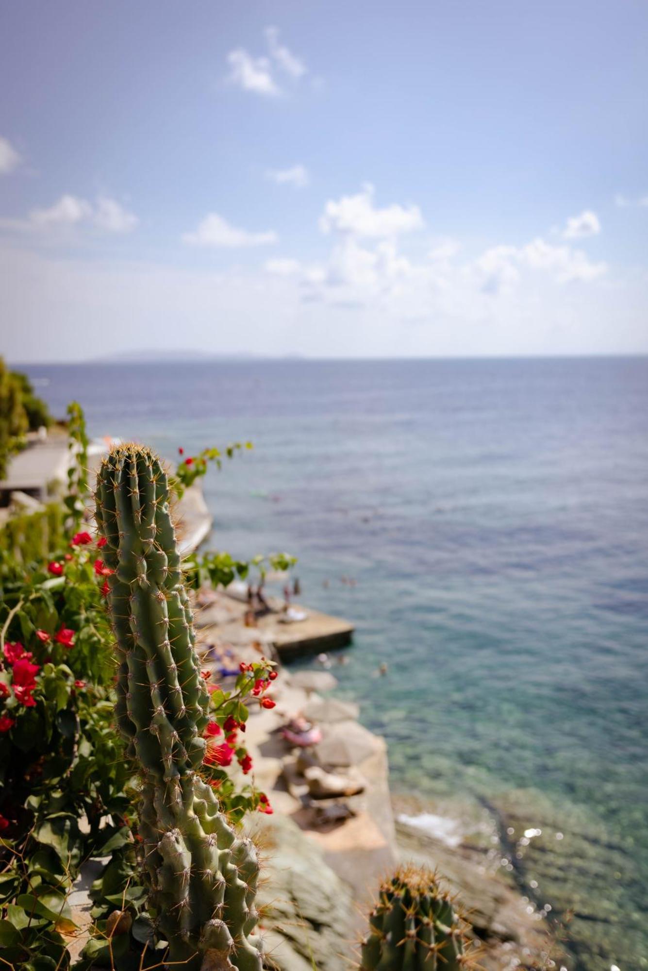 Peninsula & Resort 4*