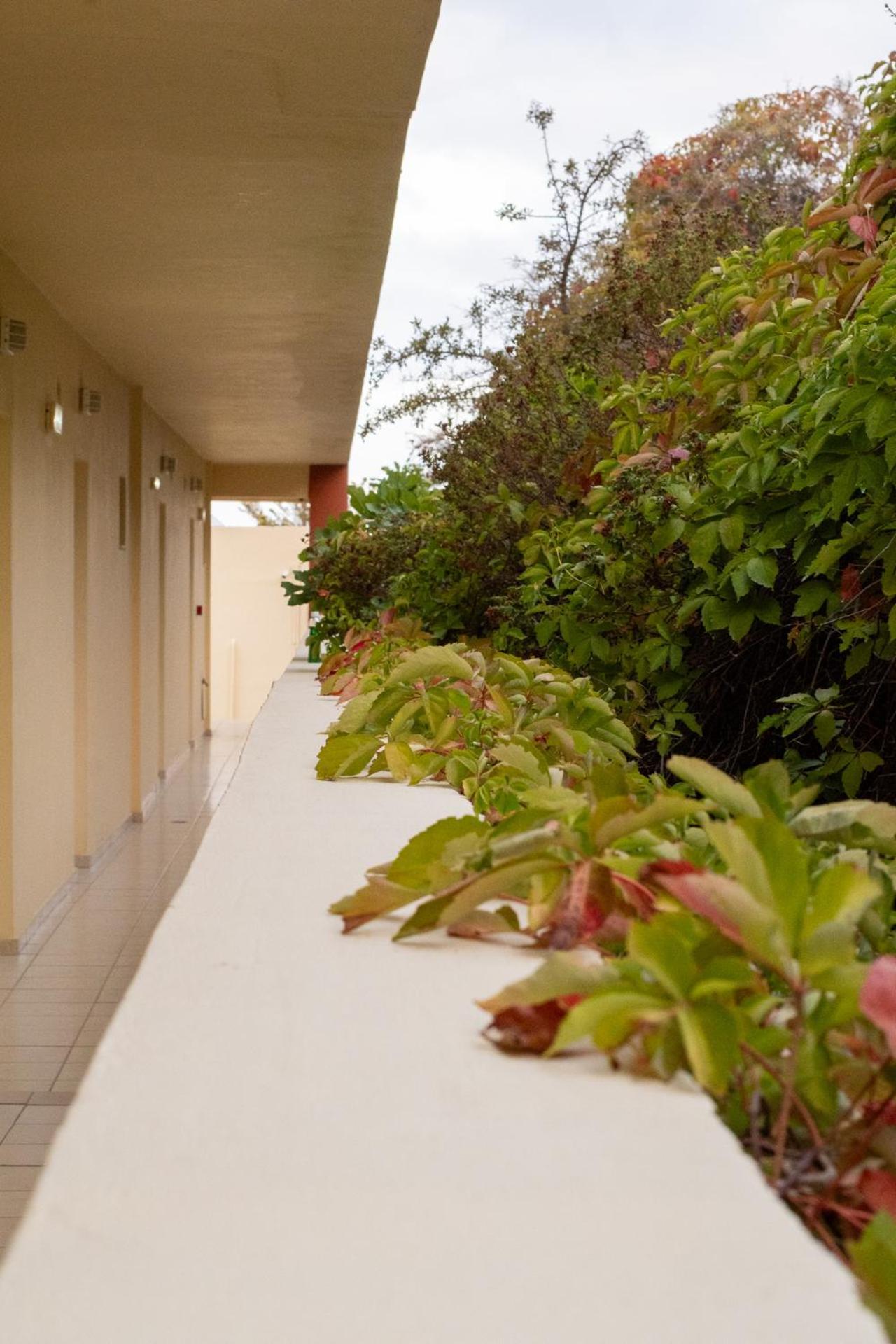Elpis Apartment Bali (Crete)