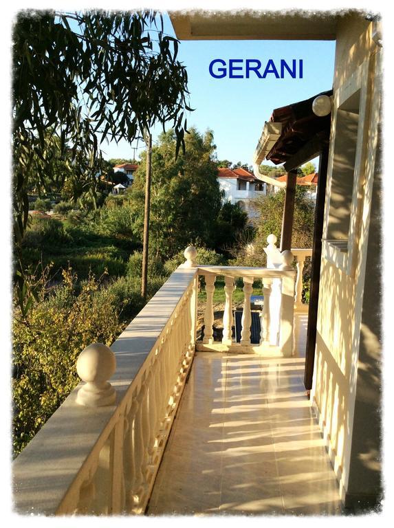 Gerani *