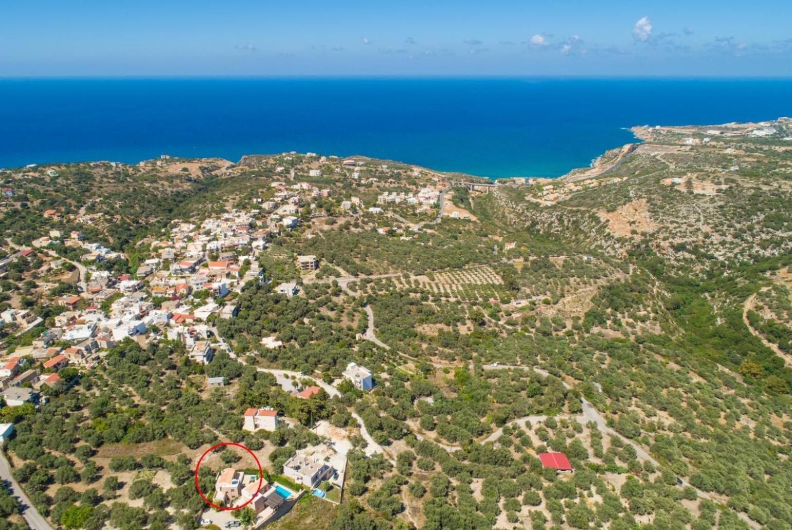 Olive * Gerani (Rethymno)