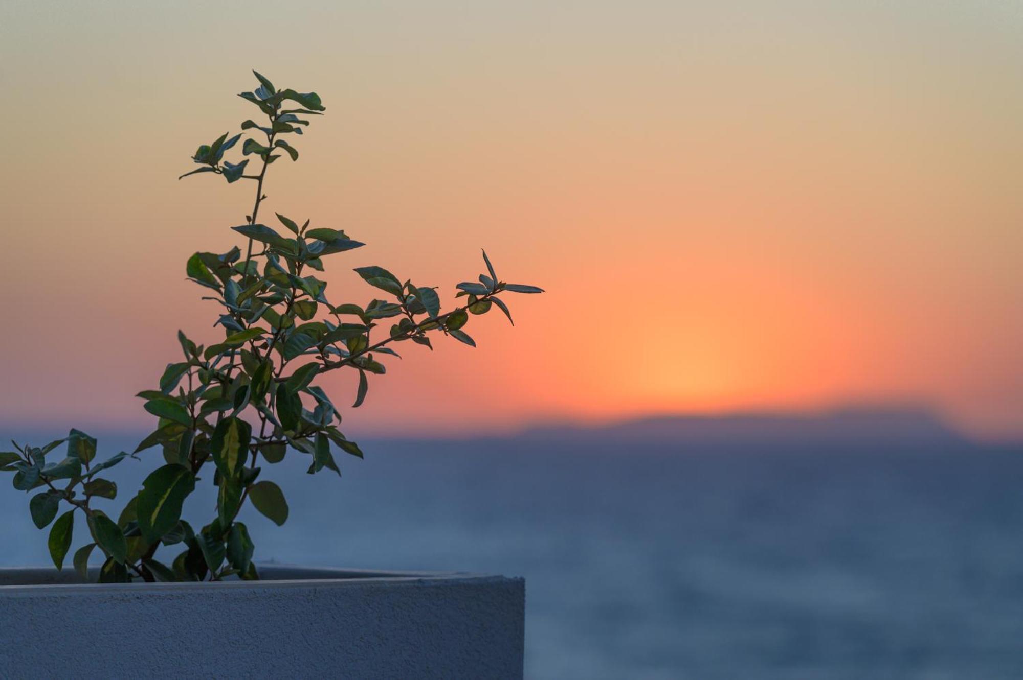 Hotel Castello Boutique By The Sea - Adults Only