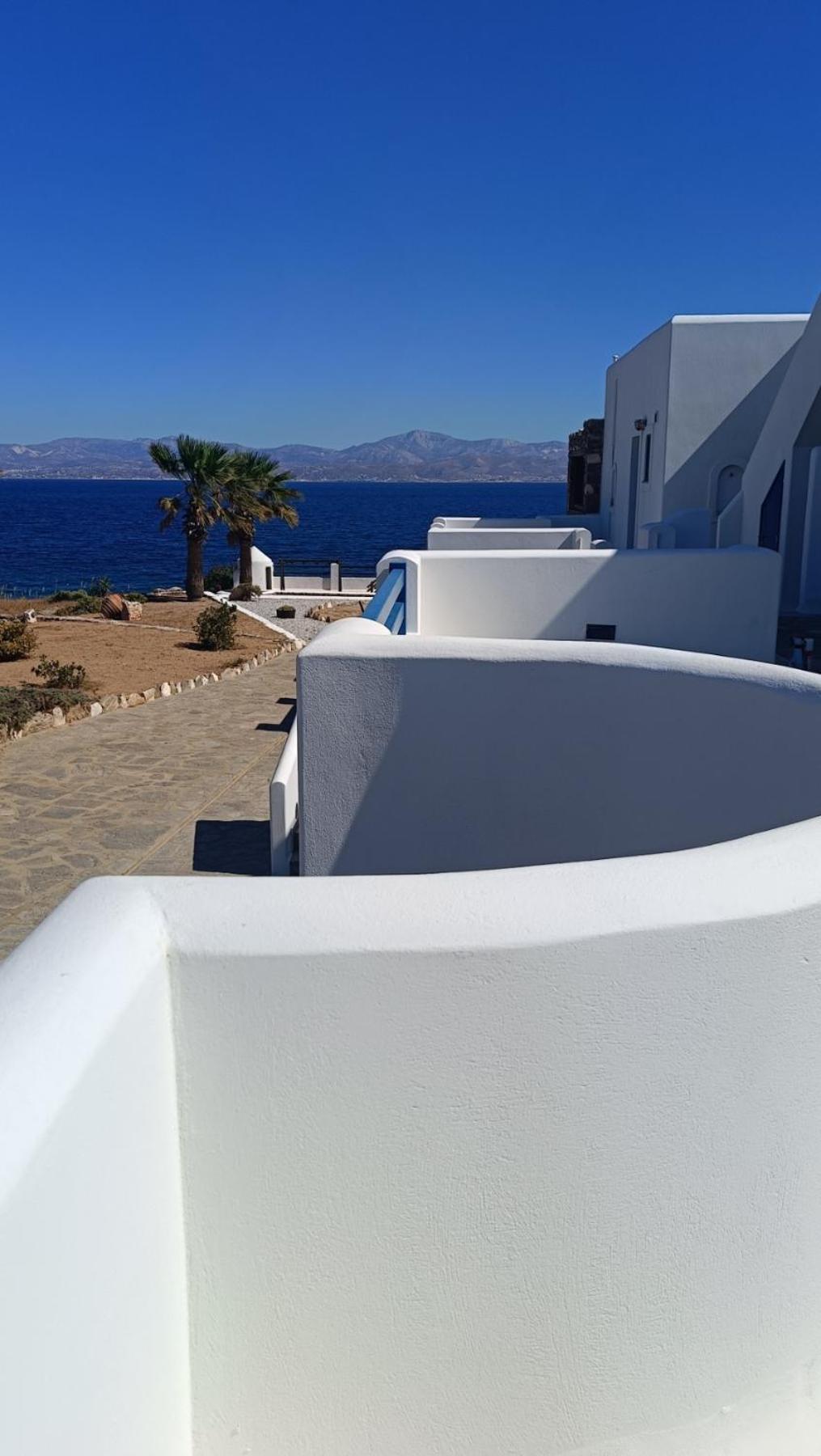 Aura Paros * Logaras