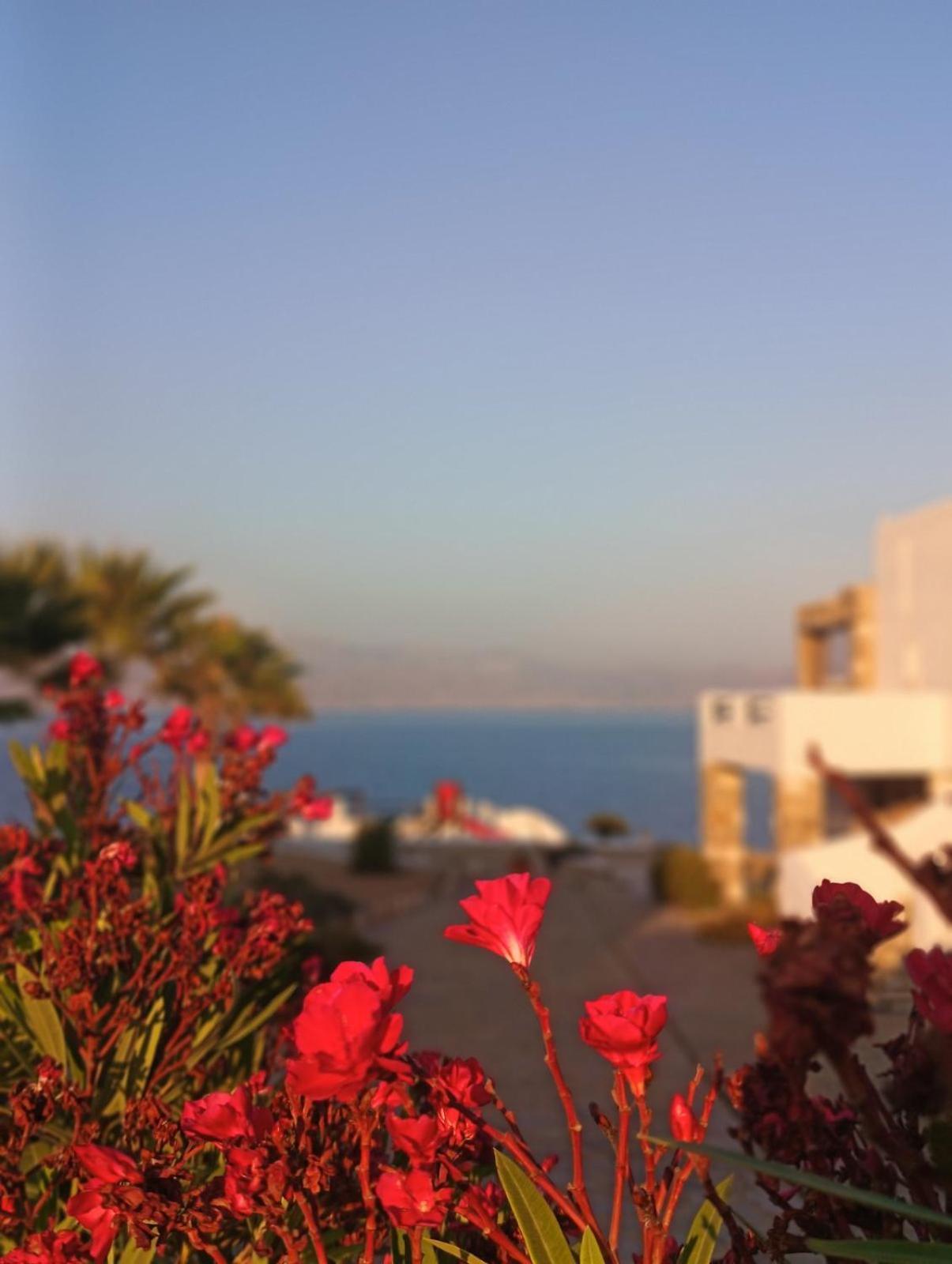Aura Paros Apartment