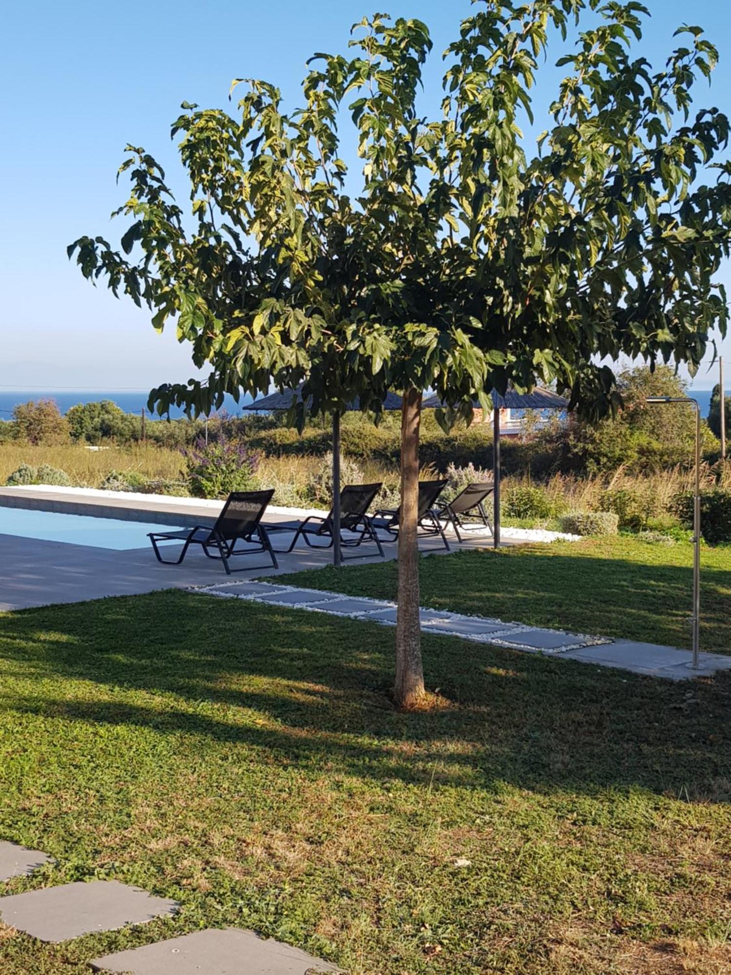 Alberi - Izla Homes * Skala (Kefalonia)