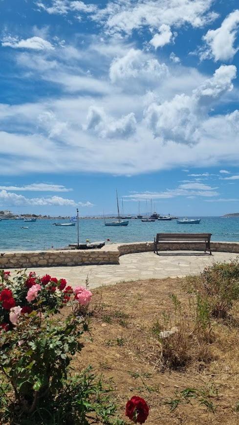Barewake's Place 1 Spacious Cycladic And Seaside View South Paros Apartment Aliki (Paros)