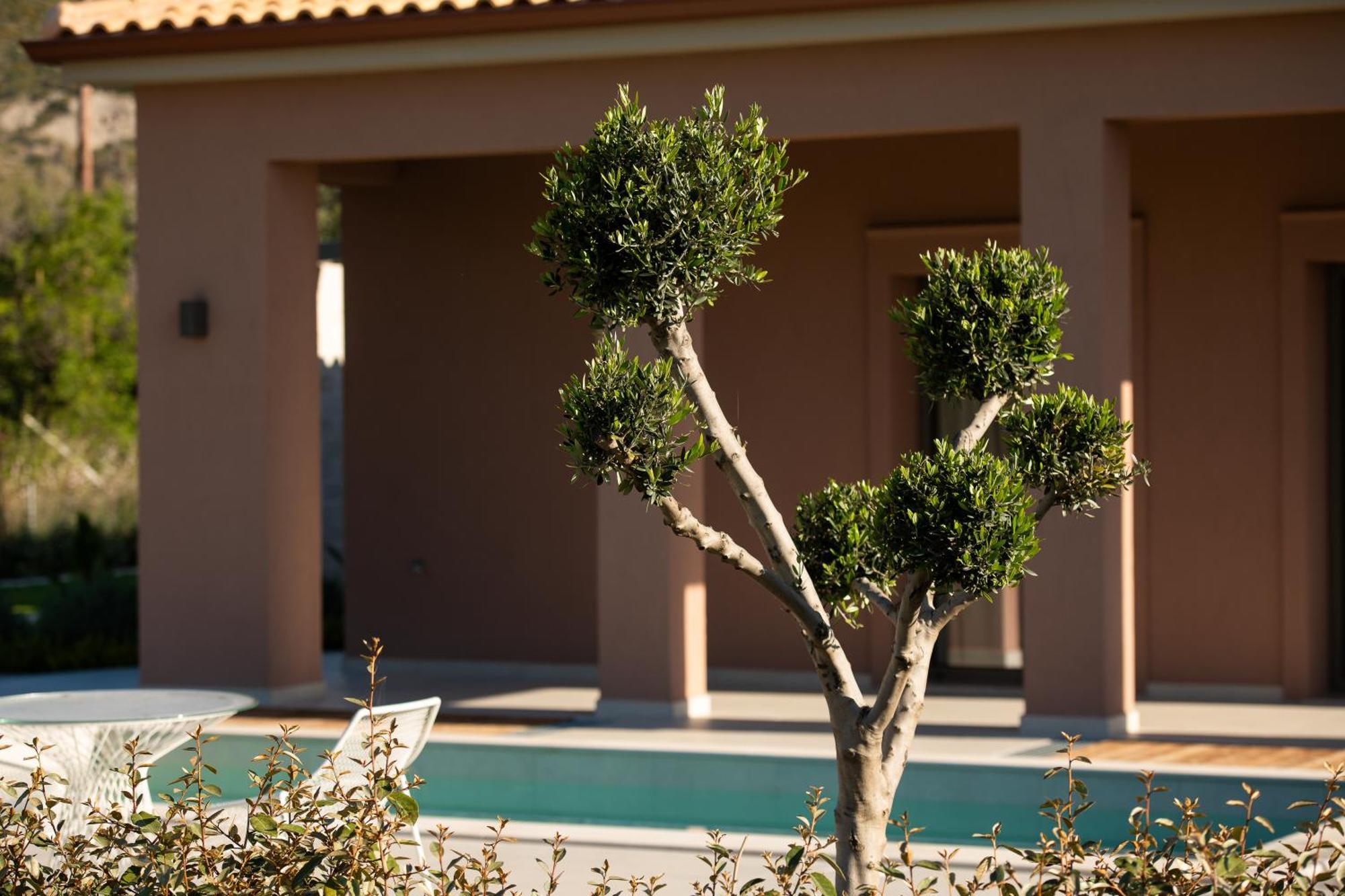 Aparthotel Reveli Katelios