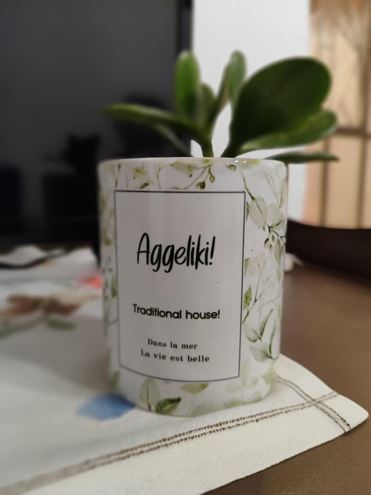 Traditional House Aggeliki * Kounoupidhiana