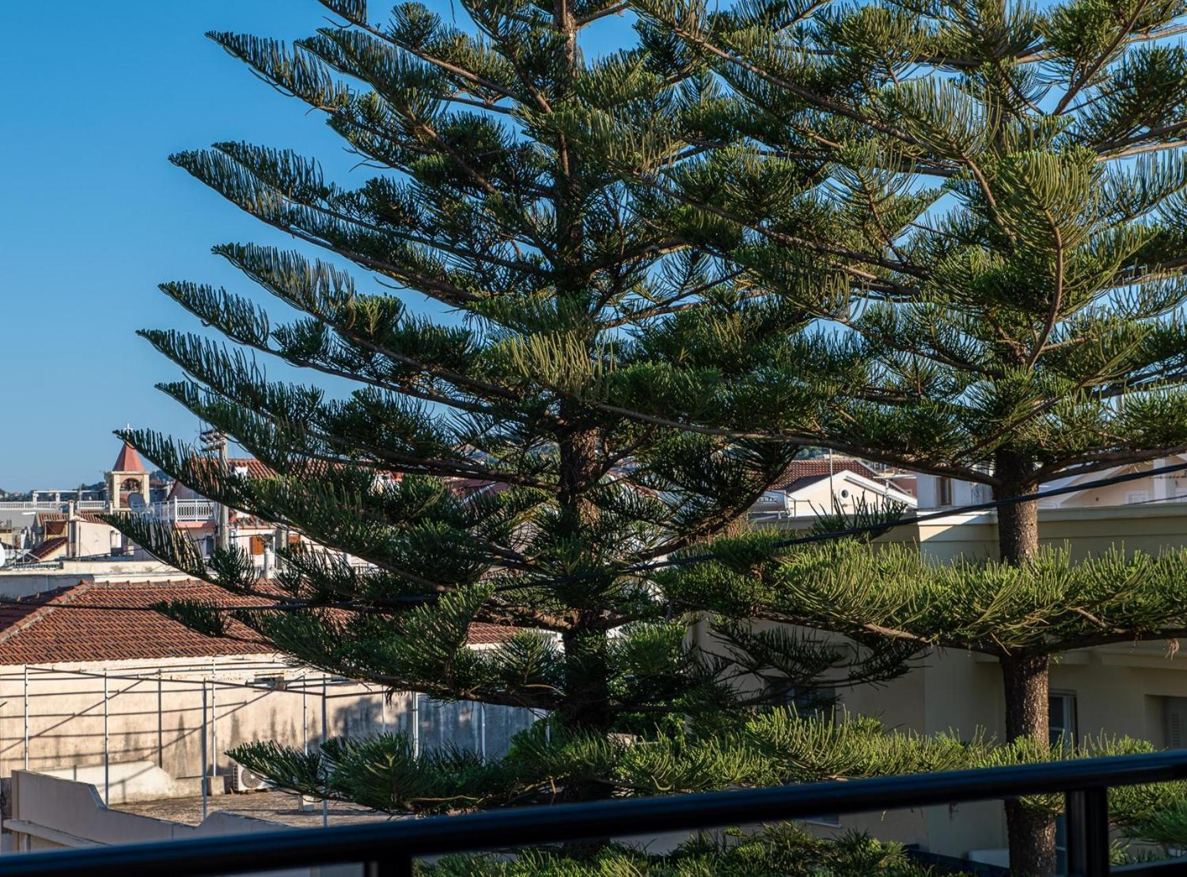 Alimar Holiday home Argostoli (Kefalonia)