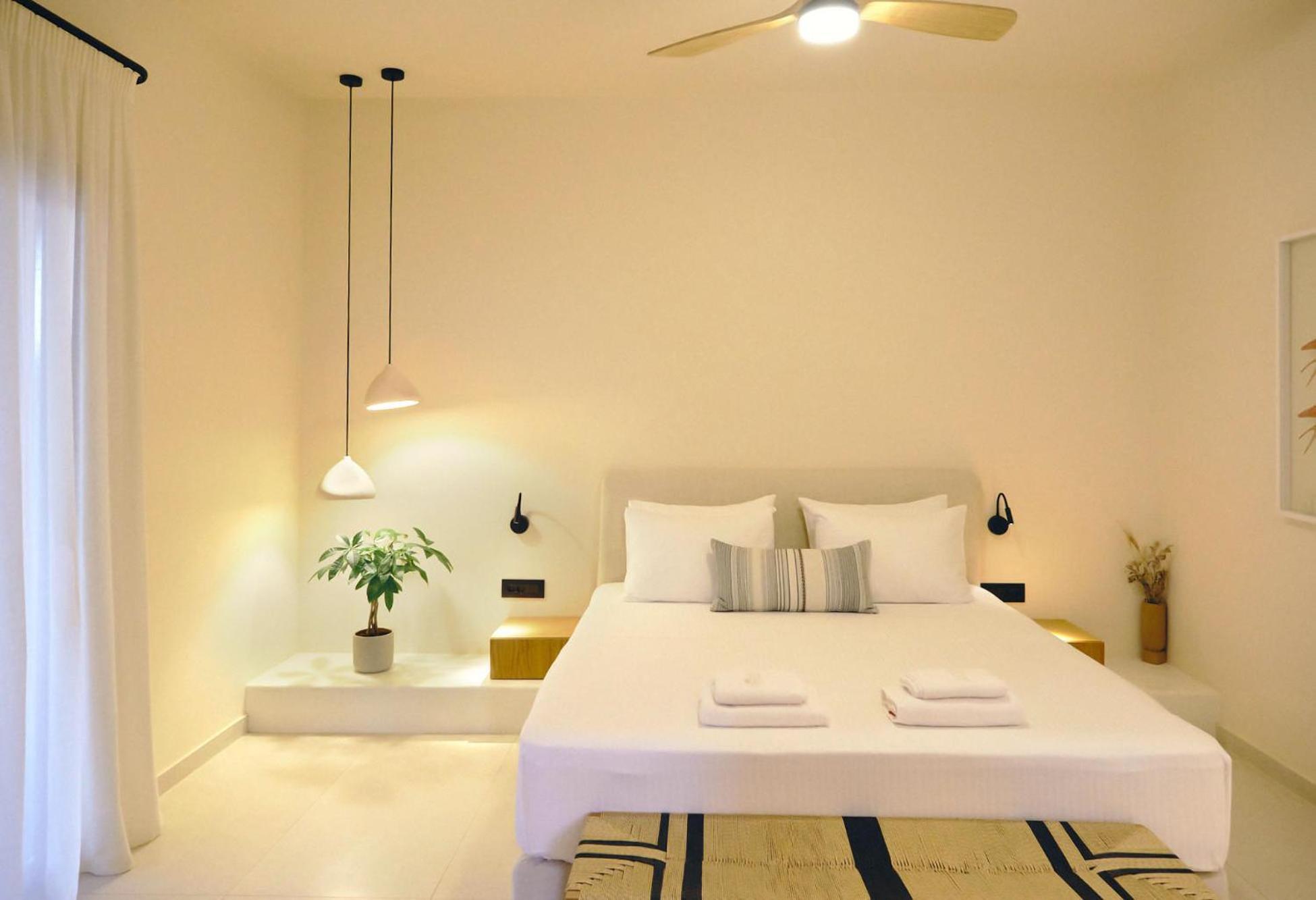 Agave 4*