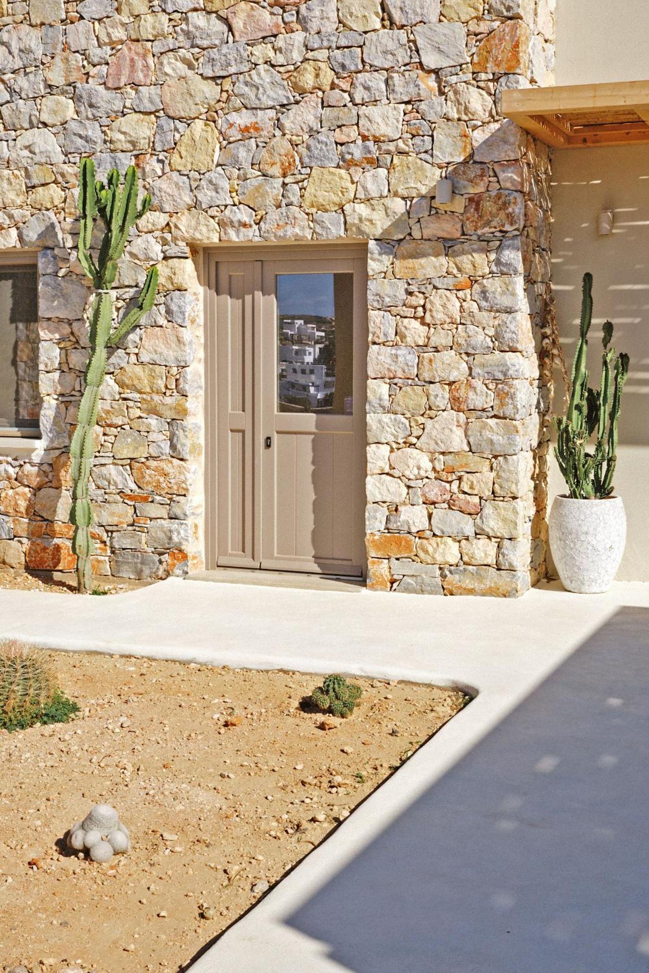 Agave