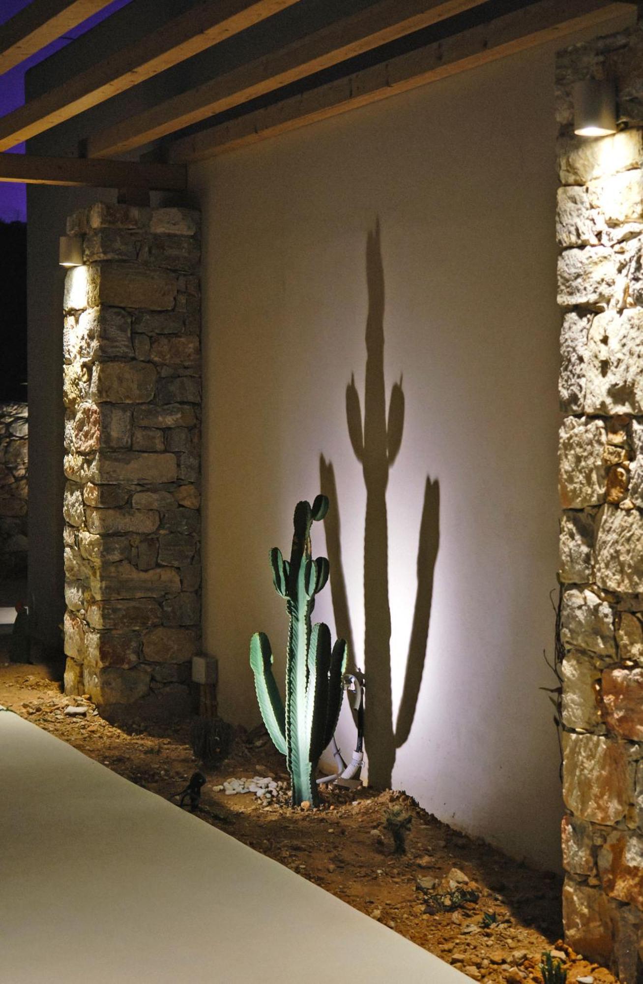 Agave Hotel 4*