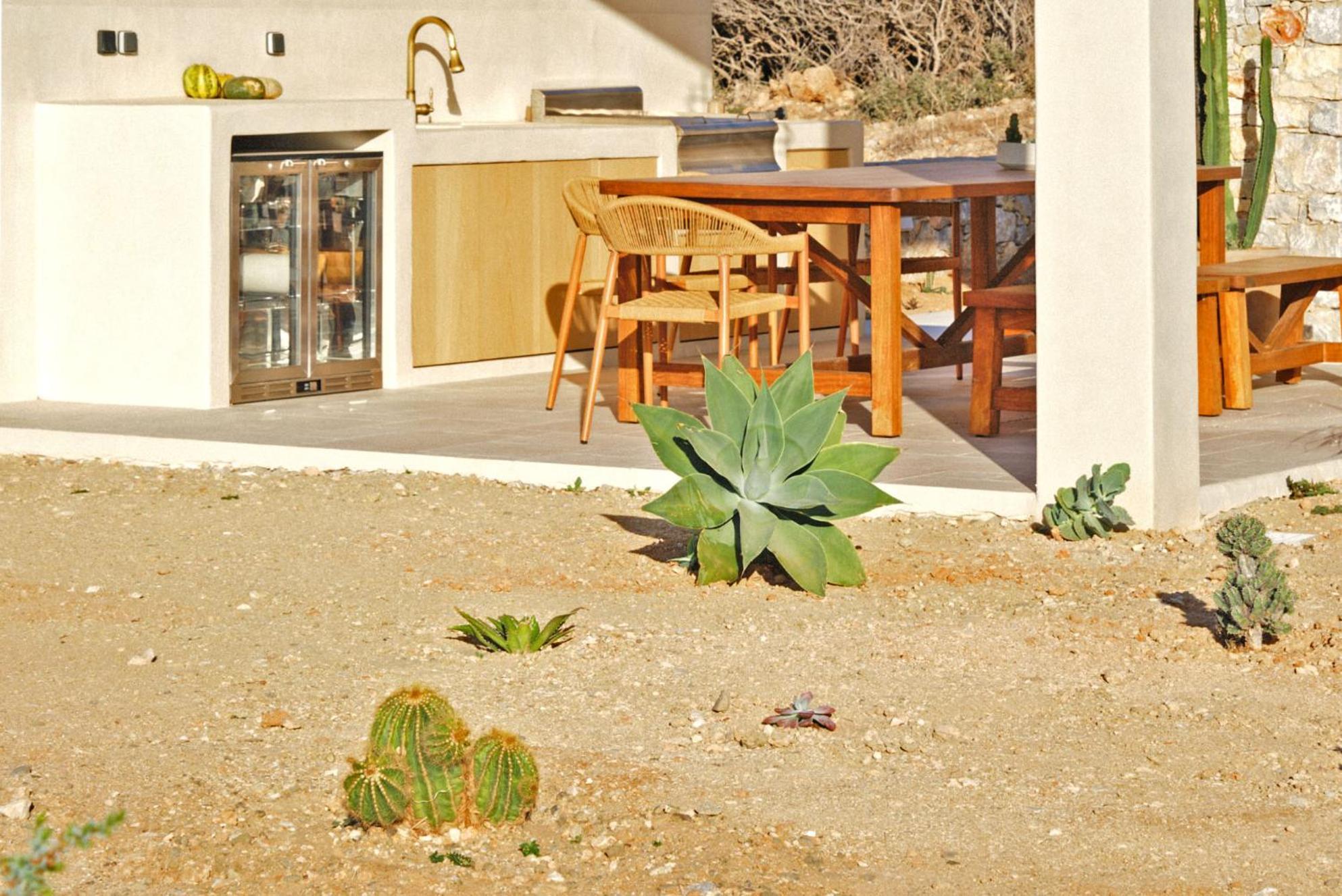 Agave