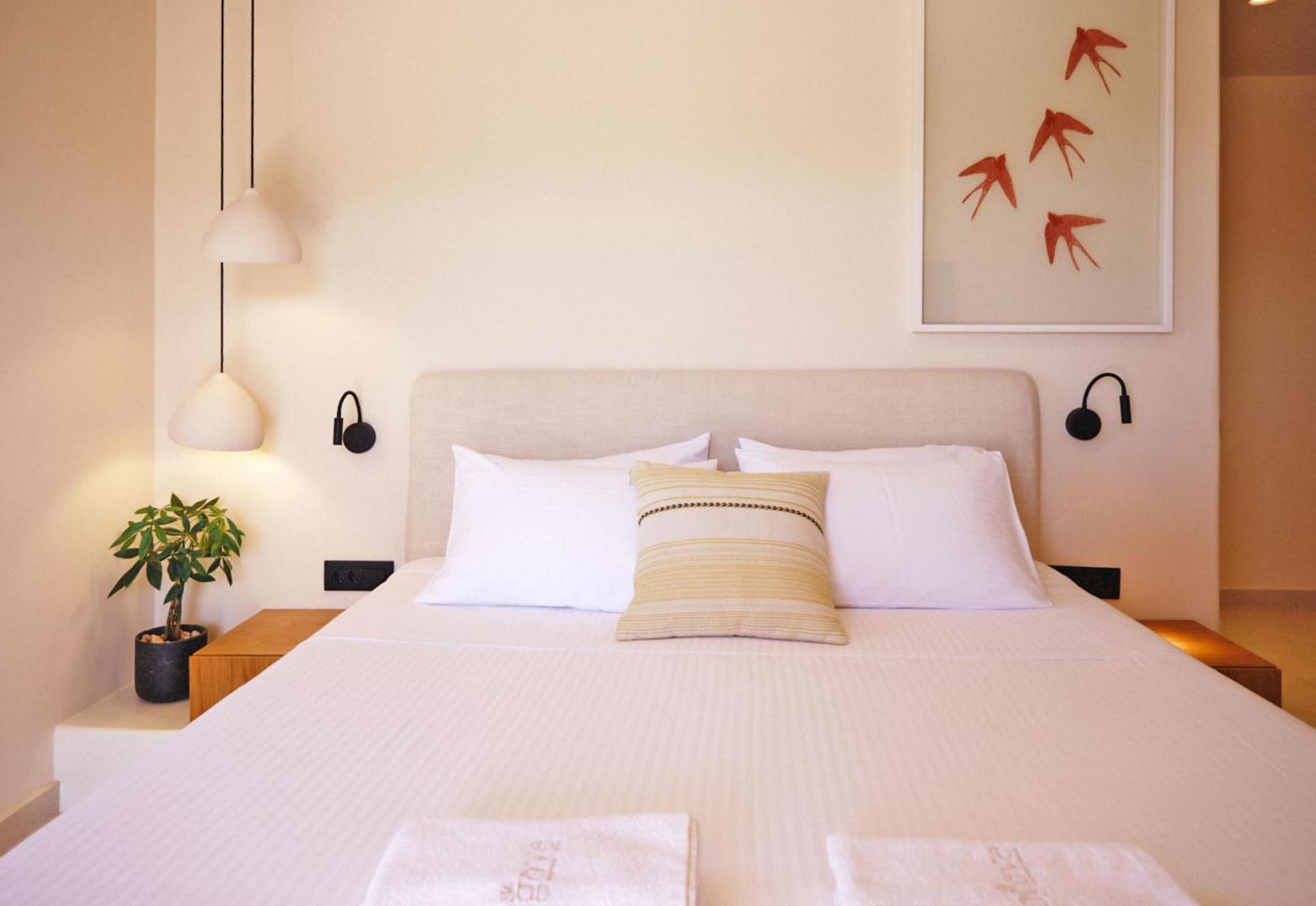 Agave 4*