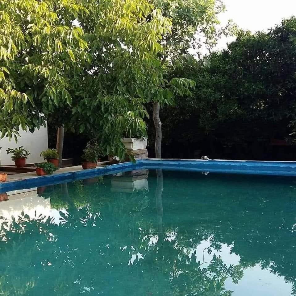 Guest house Arhodico Simou Mansion Kampochora (Chios)