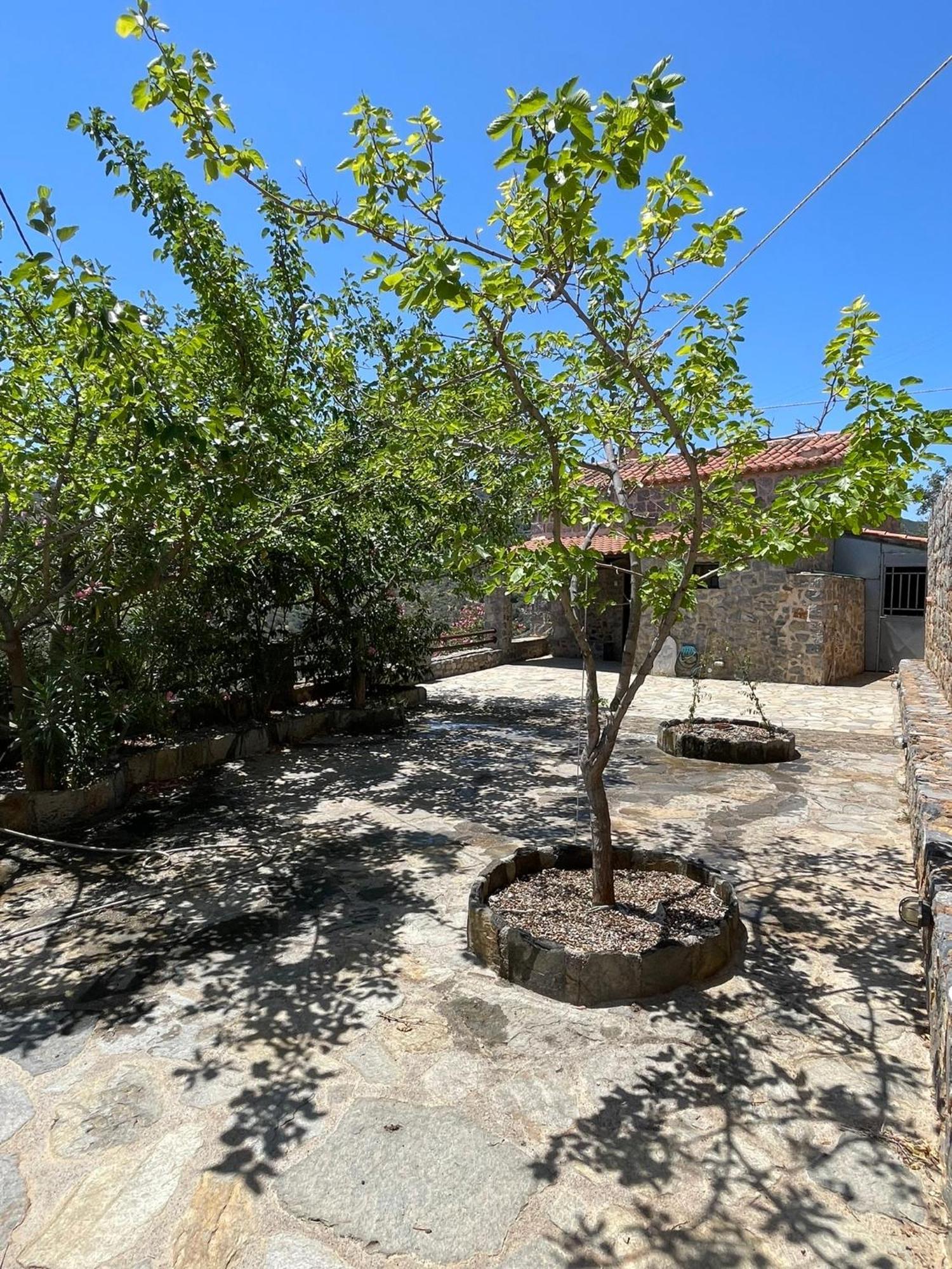 Guesthousekamara