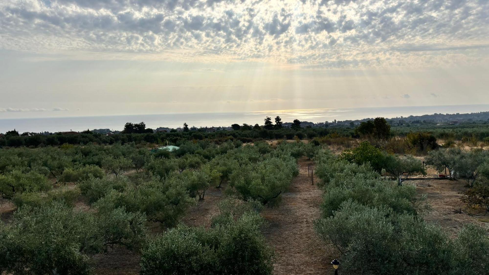 Holiday home Mavitaplace Olympos Olive