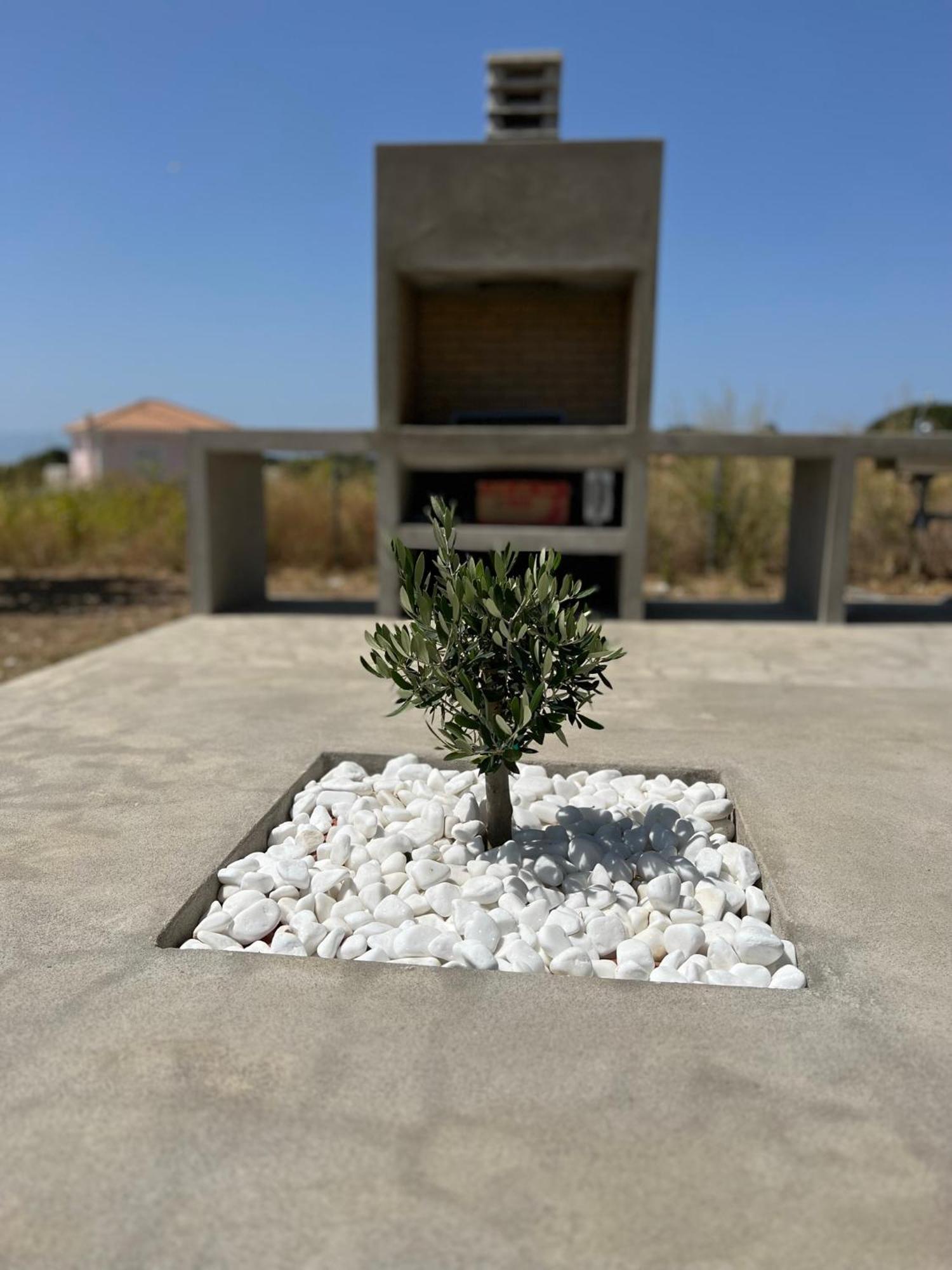 Alberi - Izla Homes Villa *